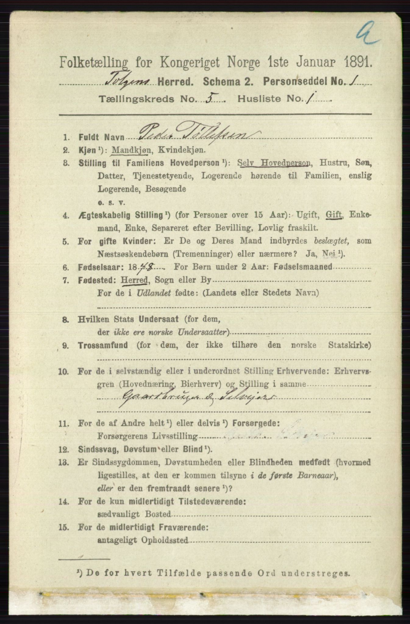RA, 1891 census for 0436 Tolga, 1891, p. 1293