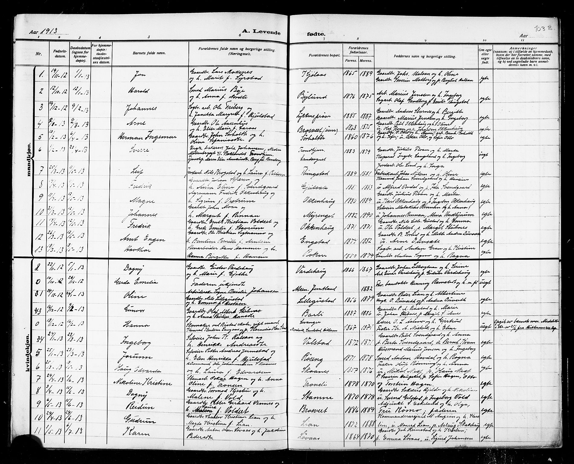 Ministerialprotokoller, klokkerbøker og fødselsregistre - Nord-Trøndelag, SAT/A-1458/721/L0208: Parish register (copy) no. 721C01, 1880-1917, p. 96i