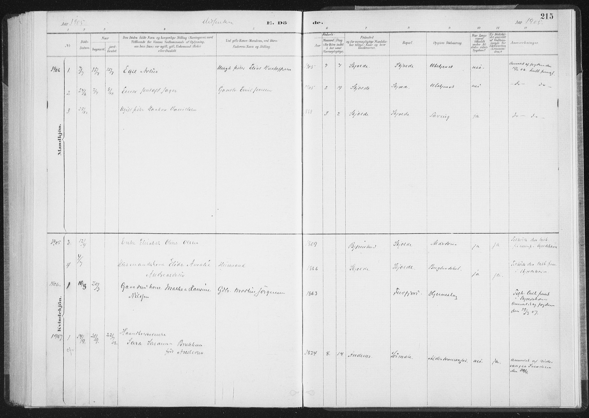 Ministerialprotokoller, klokkerbøker og fødselsregistre - Nordland, AV/SAT-A-1459/898/L1422: Parish register (official) no. 898A02, 1887-1908, p. 215