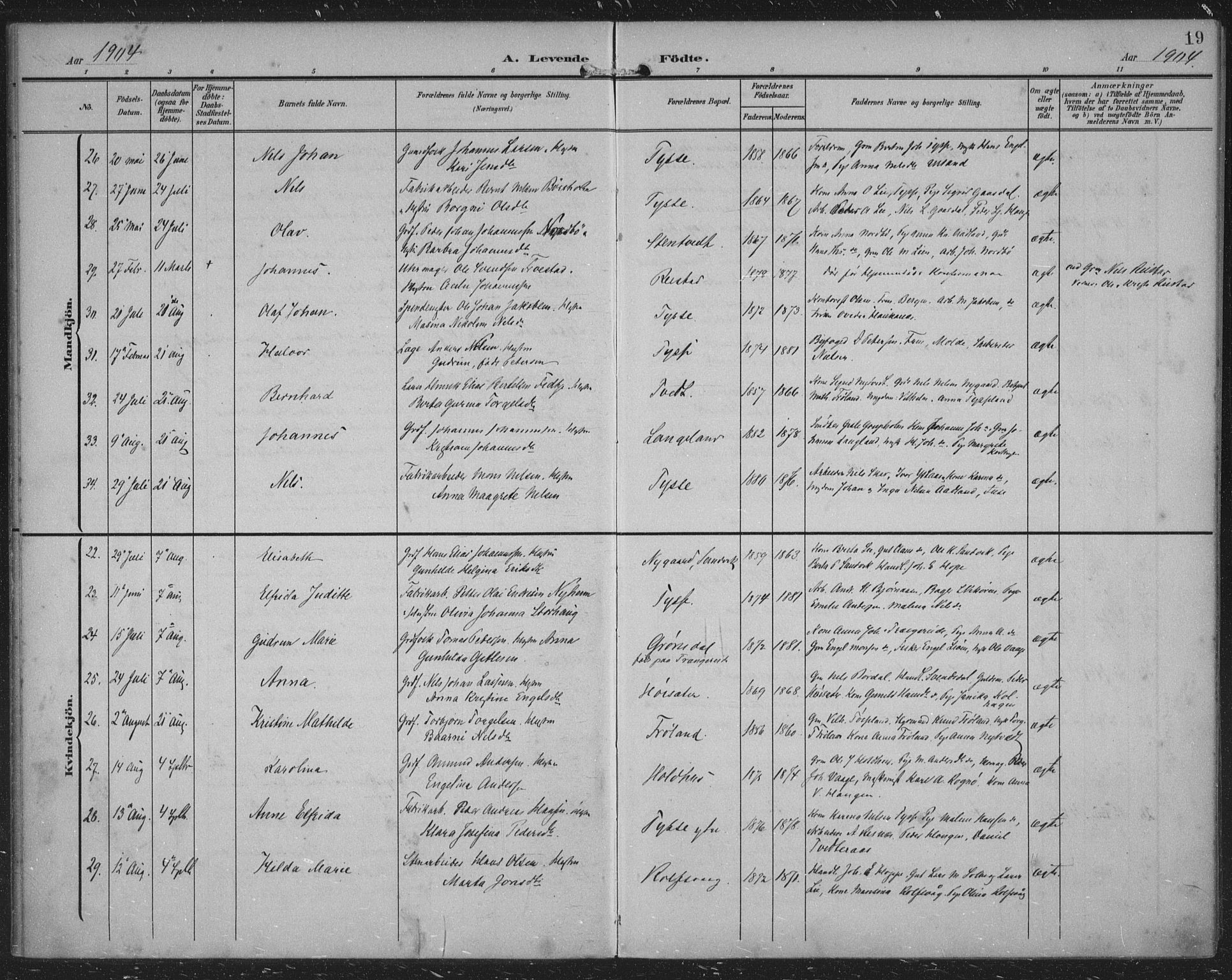 Samnanger Sokneprestembete, AV/SAB-A-77501/H/Haa: Parish register (official) no. A 2, 1902-1918, p. 19