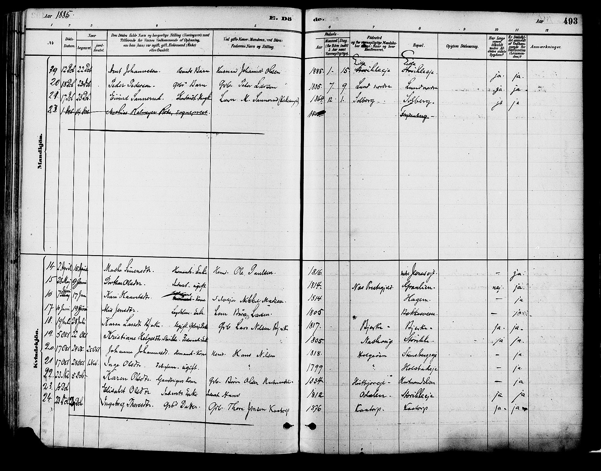 Vang prestekontor, Hedmark, SAH/PREST-008/H/Ha/Haa/L0018B: Parish register (official) no. 18B, 1880-1906, p. 493