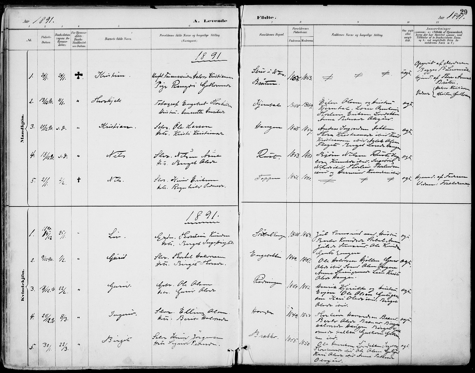 Gol kirkebøker, AV/SAKO-A-226/F/Fa/L0005: Parish register (official) no. I 5, 1887-1900, p. 29