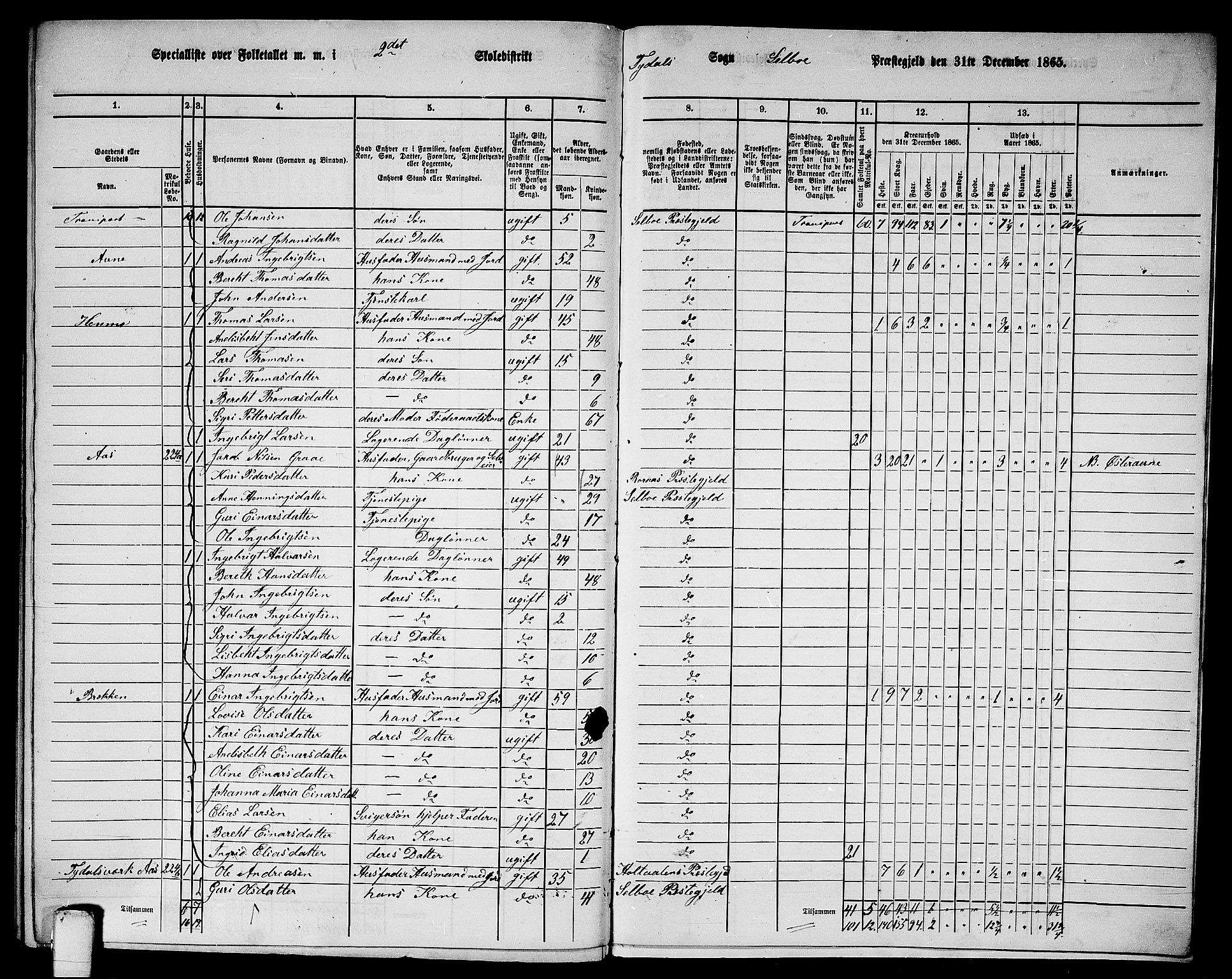 RA, 1865 census for Selbu, 1865, p. 247