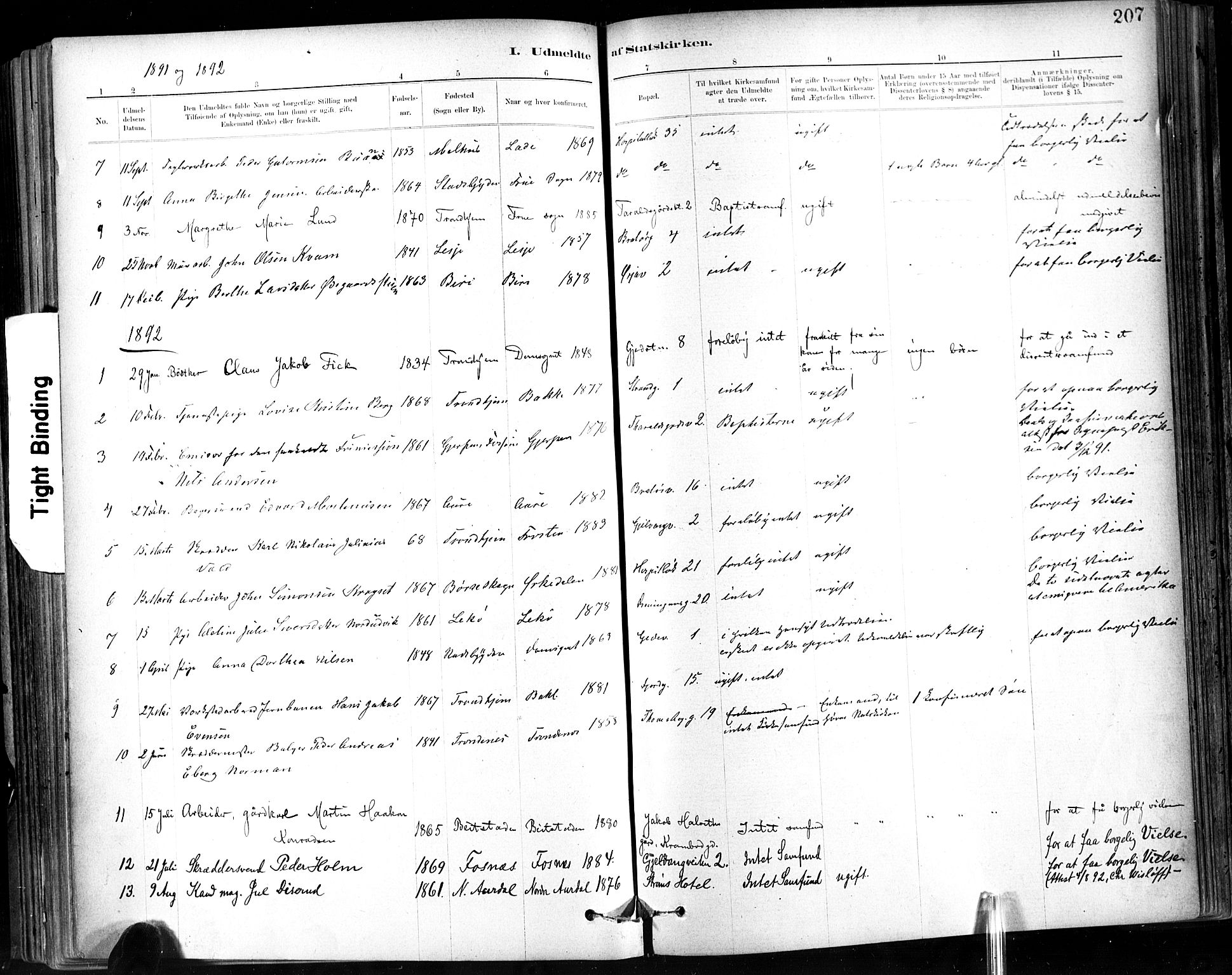 Ministerialprotokoller, klokkerbøker og fødselsregistre - Sør-Trøndelag, SAT/A-1456/602/L0120: Parish register (official) no. 602A18, 1880-1913, p. 207