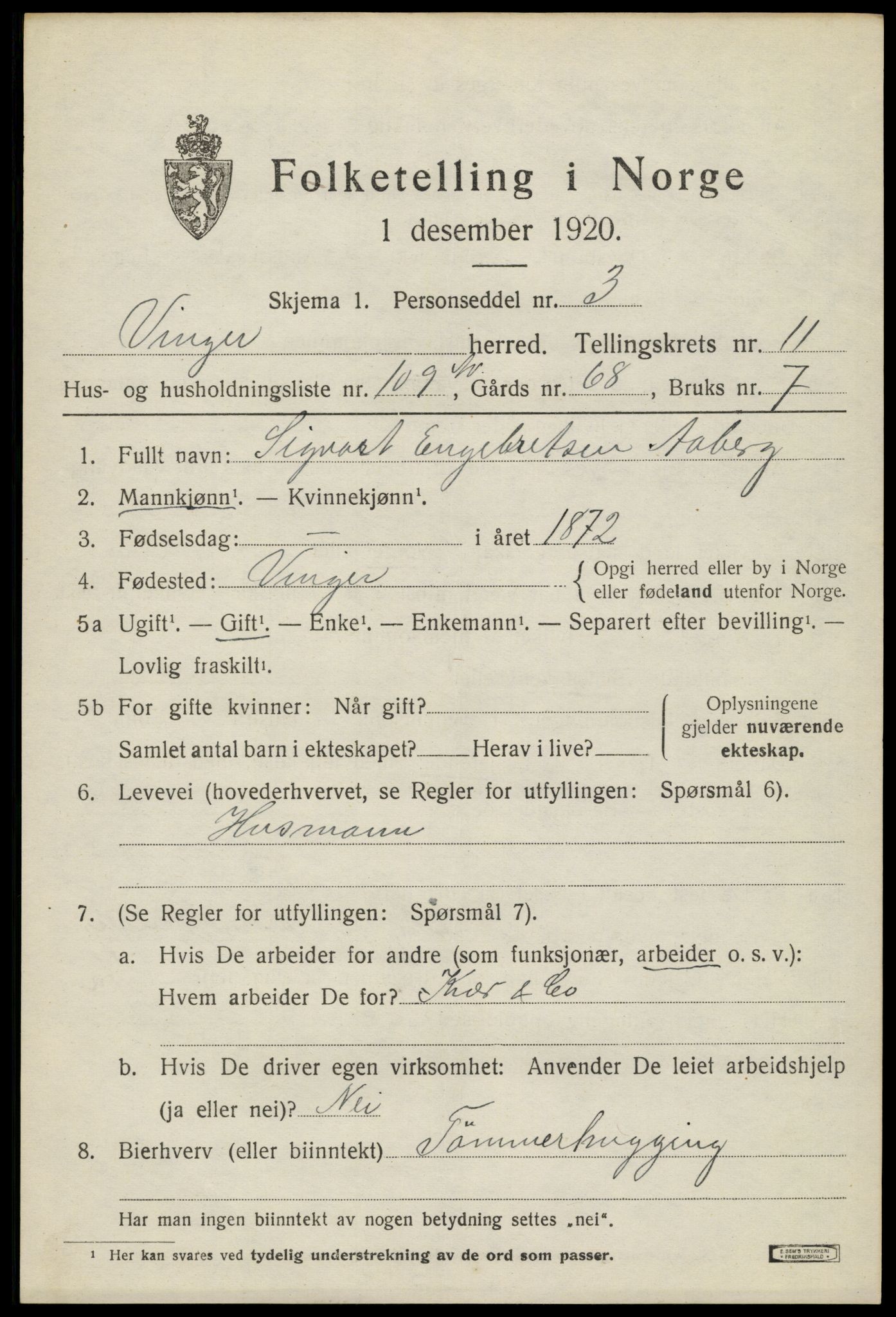 SAH, 1920 census for Vinger, 1920, p. 10204