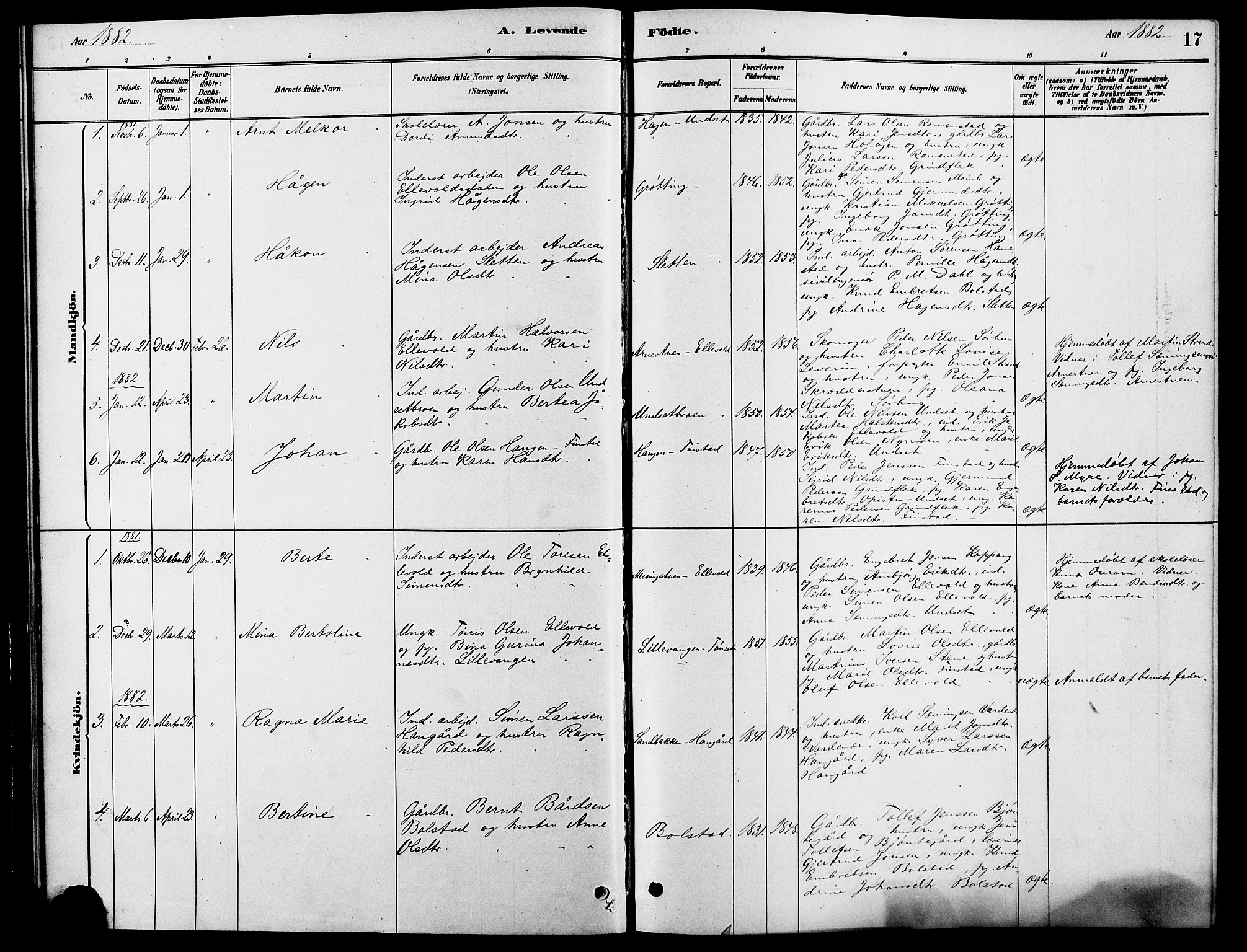 Rendalen prestekontor, SAH/PREST-054/H/Ha/Hab/L0003: Parish register (copy) no. 3, 1879-1904, p. 17