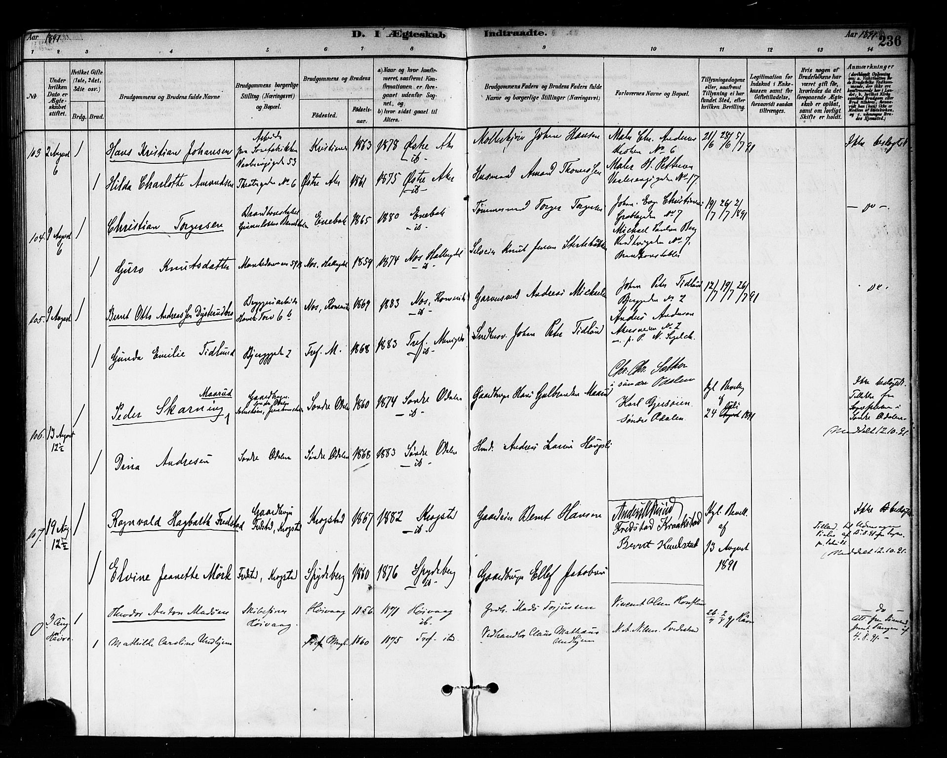 Trefoldighet prestekontor Kirkebøker, AV/SAO-A-10882/F/Fc/L0003: Parish register (official) no. III 3, 1881-1891, p. 236