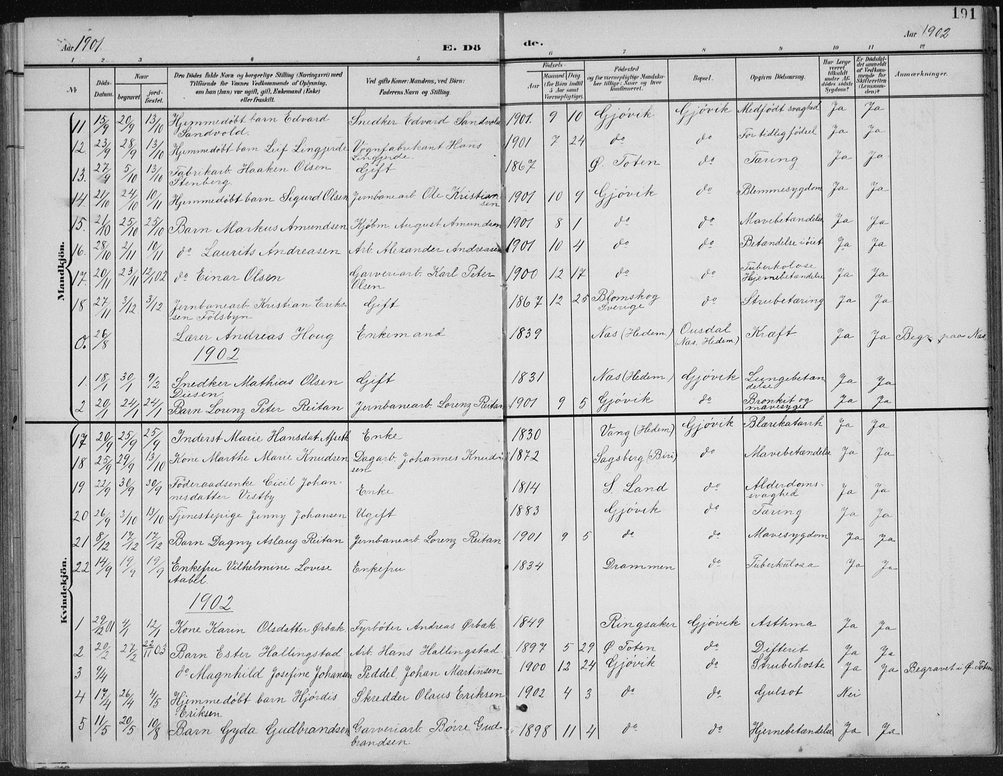 Vardal prestekontor, SAH/PREST-100/H/Ha/Haa/L0013: Parish register (official) no. 13, 1901-1911, p. 191