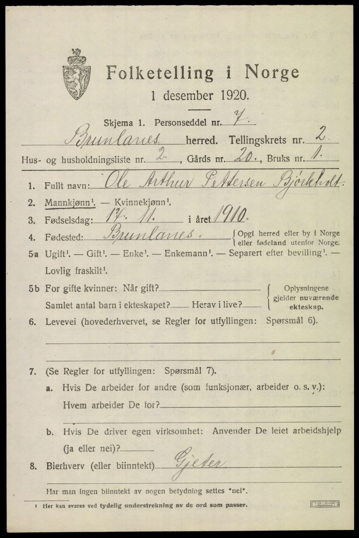 SAKO, 1920 census for Brunlanes, 1920, p. 3333