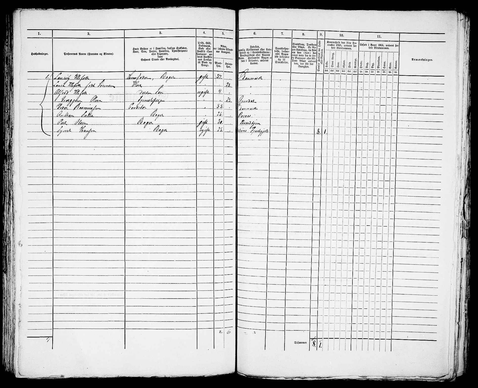 RA, 1865 census for Arendal, 1865, p. 248