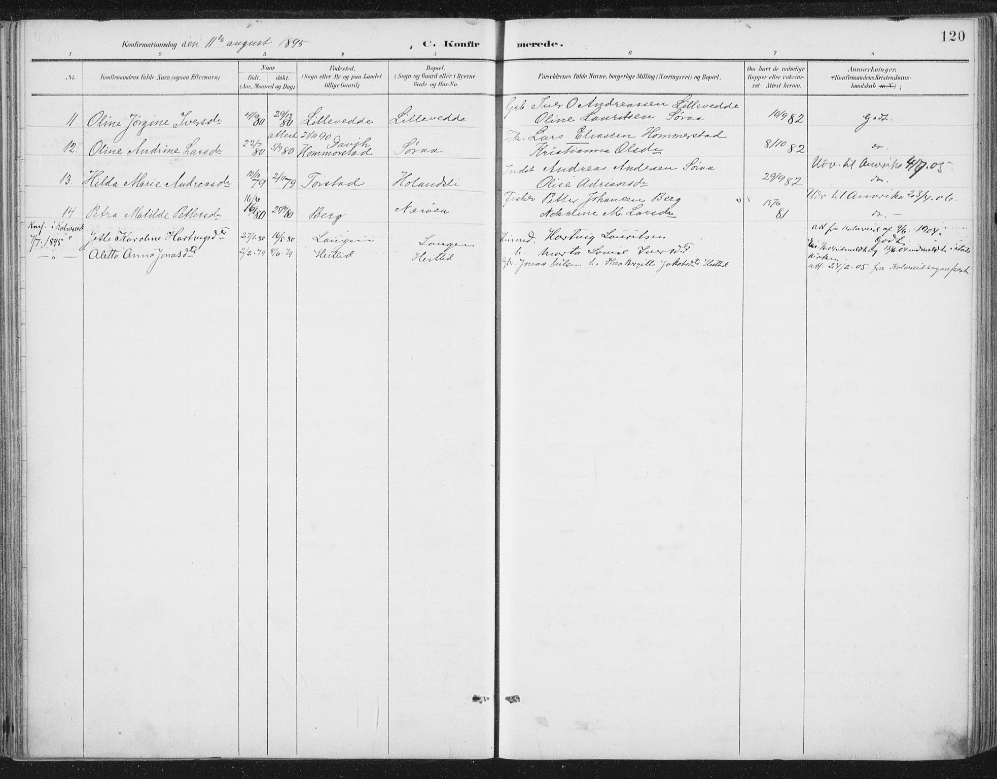 Ministerialprotokoller, klokkerbøker og fødselsregistre - Nord-Trøndelag, SAT/A-1458/784/L0673: Parish register (official) no. 784A08, 1888-1899, p. 120