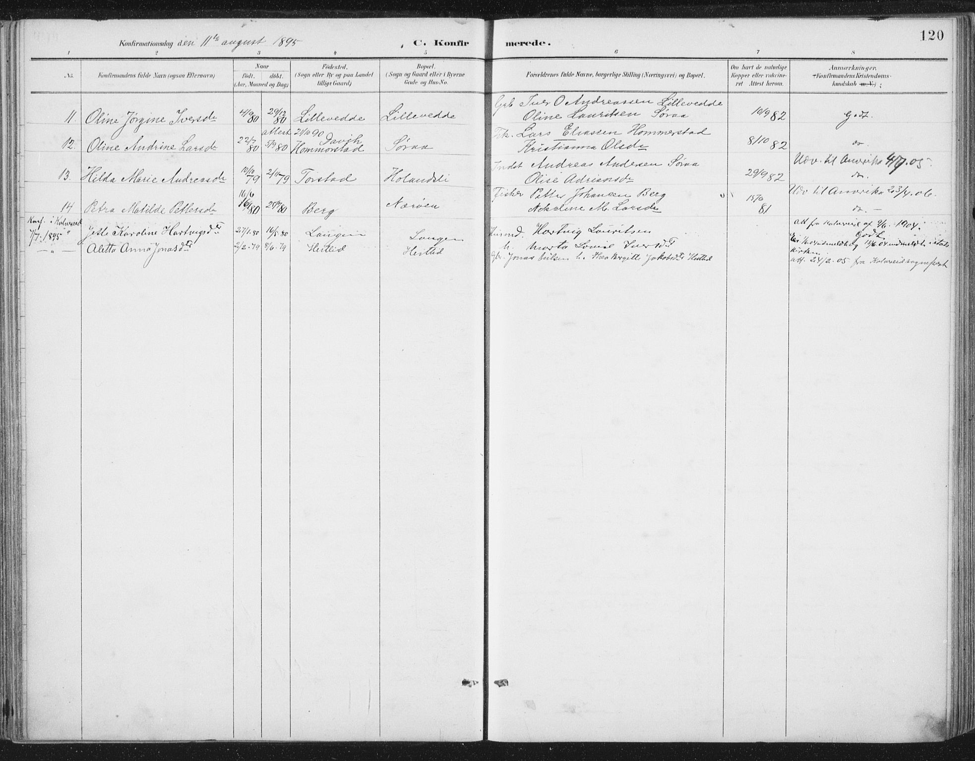 Ministerialprotokoller, klokkerbøker og fødselsregistre - Nord-Trøndelag, AV/SAT-A-1458/784/L0673: Parish register (official) no. 784A08, 1888-1899, p. 120