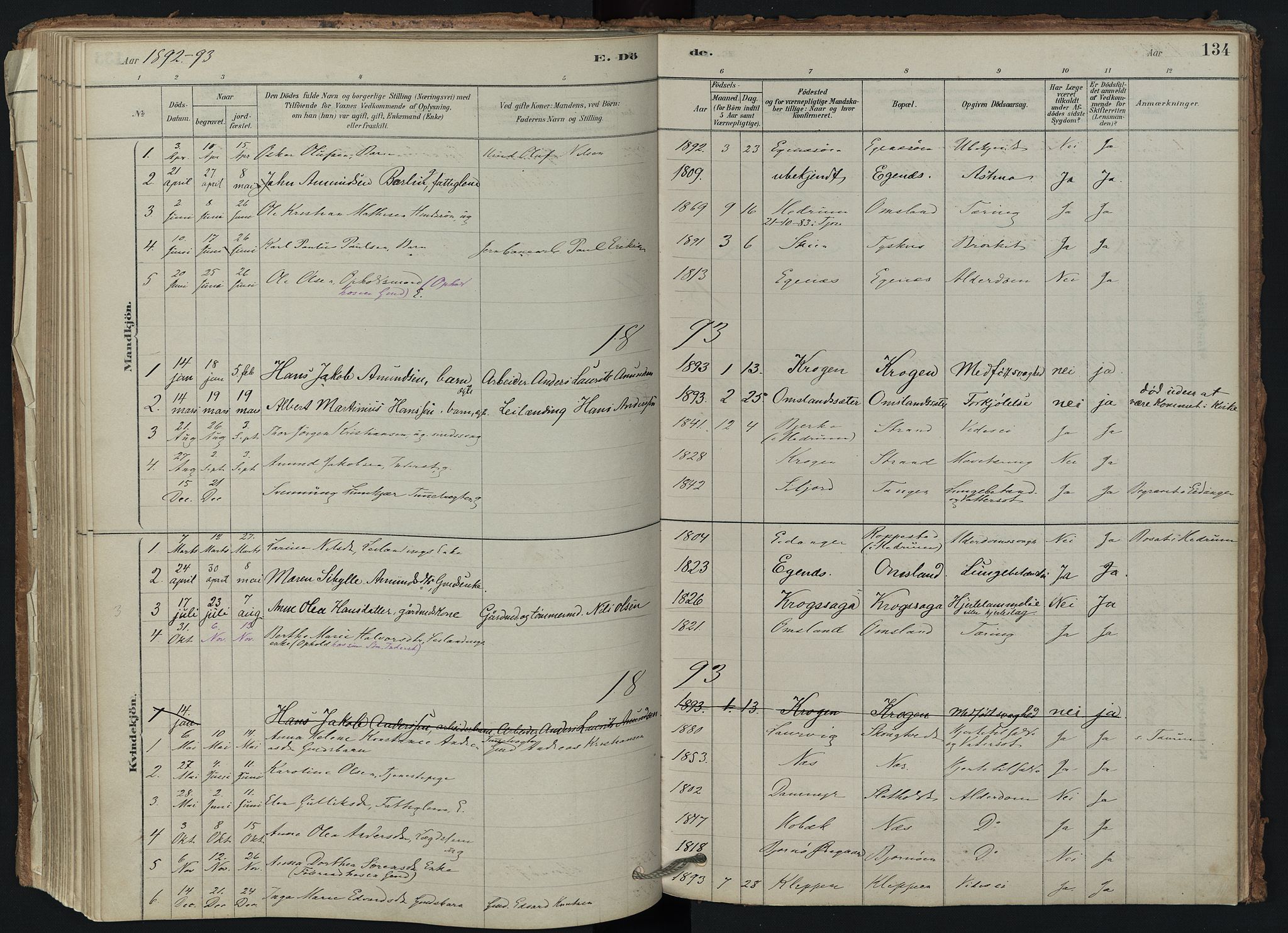 Brunlanes kirkebøker, AV/SAKO-A-342/F/Fd/L0001: Parish register (official) no. IV 1, 1878-1917, p. 134