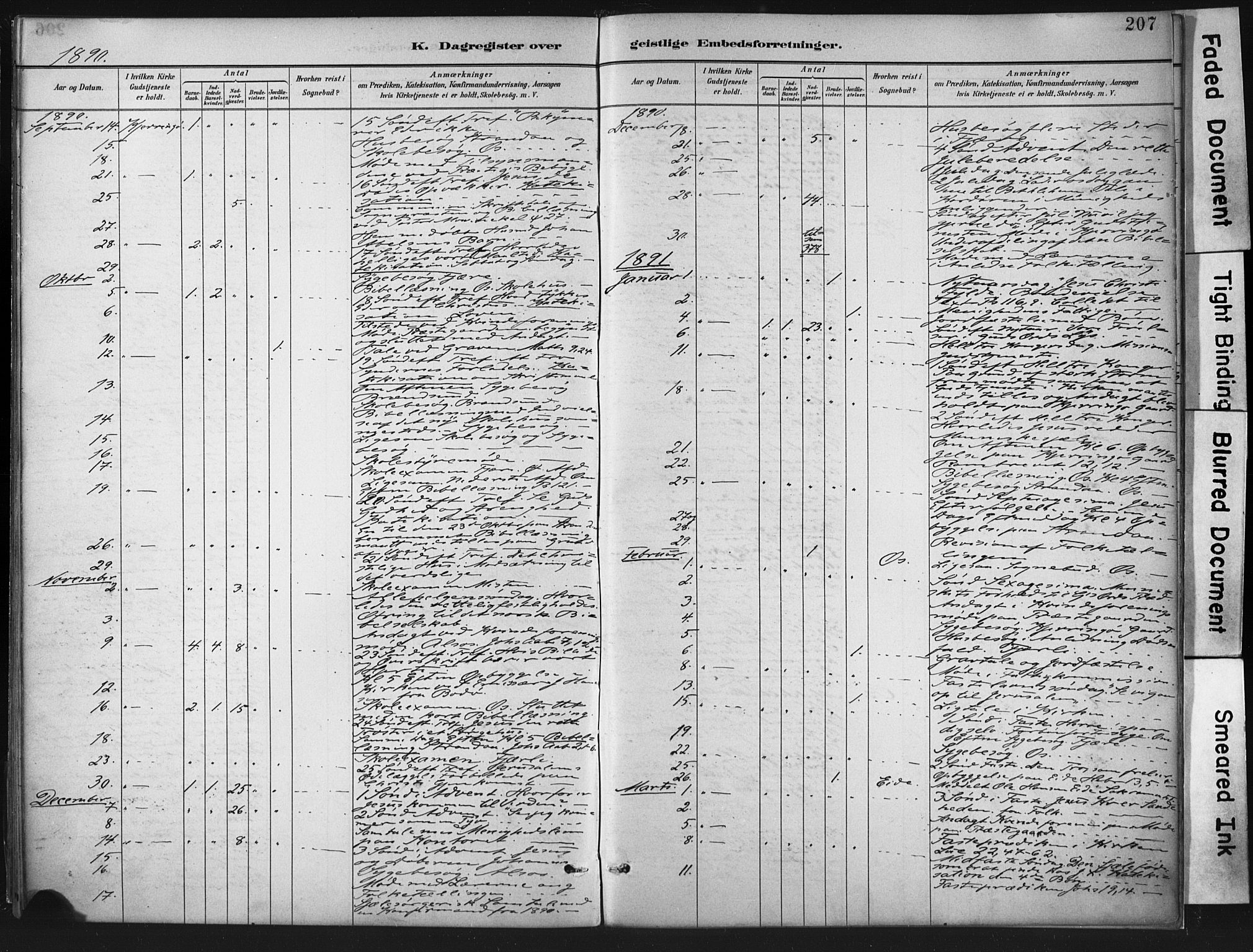 Ministerialprotokoller, klokkerbøker og fødselsregistre - Nordland, SAT/A-1459/803/L0071: Parish register (official) no. 803A01, 1881-1897, p. 207