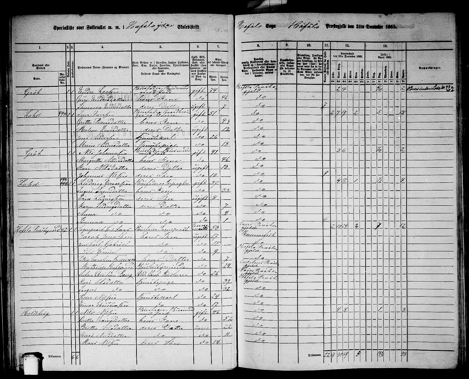 RA, 1865 census for Hafslo, 1865, p. 39