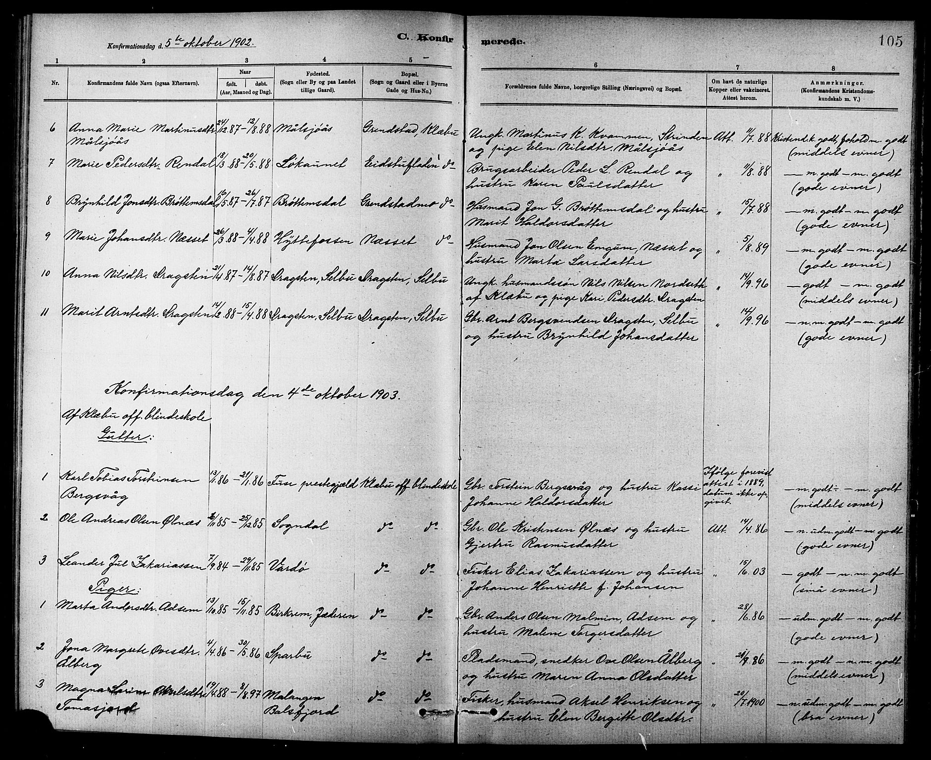 Ministerialprotokoller, klokkerbøker og fødselsregistre - Sør-Trøndelag, SAT/A-1456/618/L0452: Parish register (copy) no. 618C03, 1884-1906, p. 105