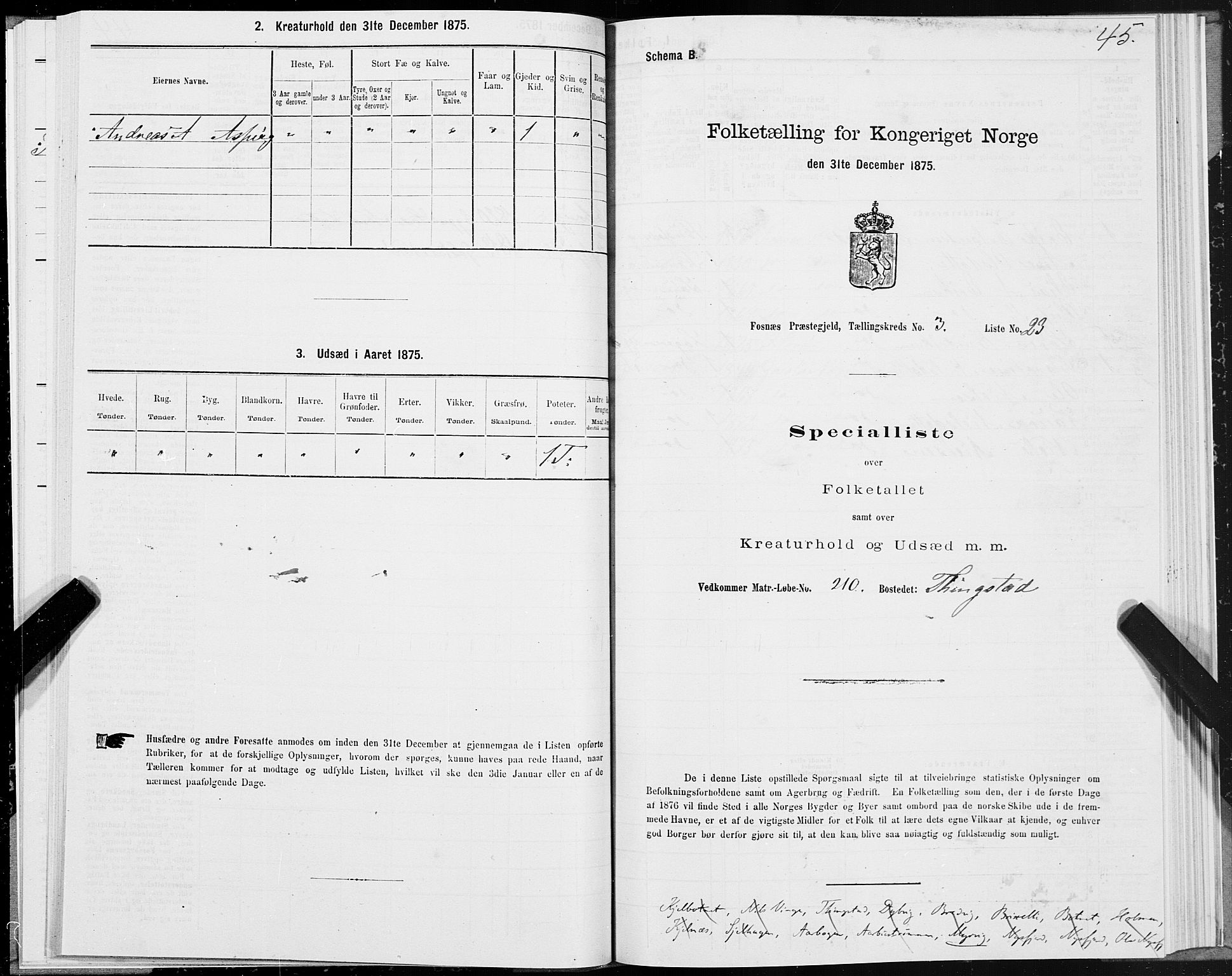 SAT, 1875 census for 1748P Fosnes, 1875, p. 2045