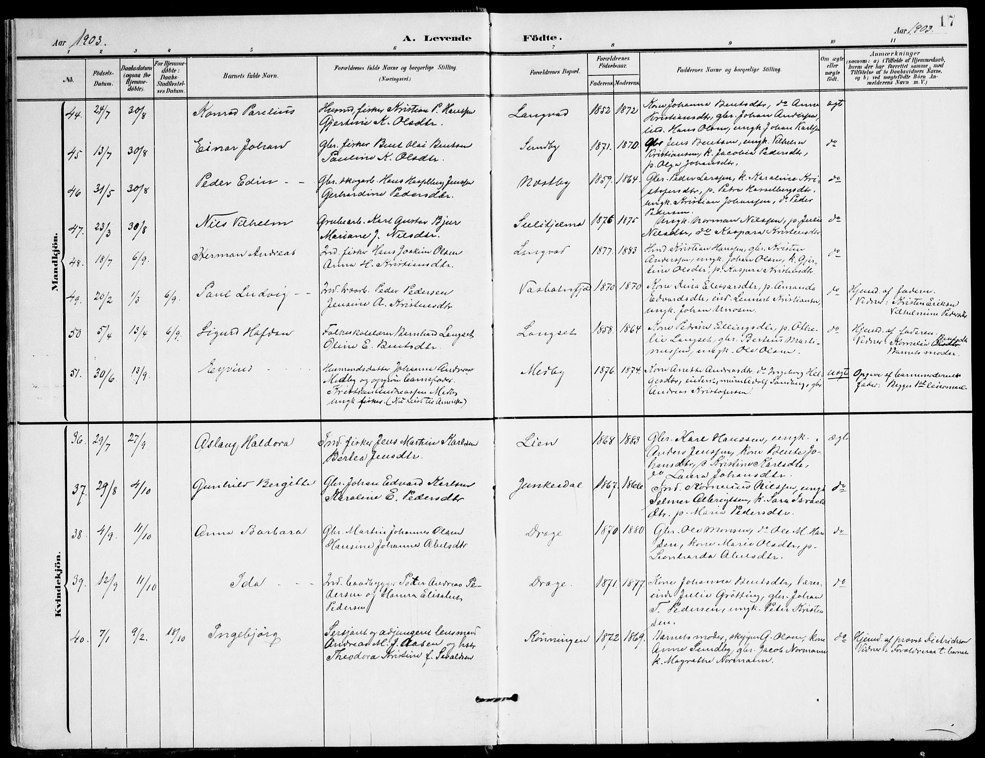 Ministerialprotokoller, klokkerbøker og fødselsregistre - Nordland, AV/SAT-A-1459/847/L0672: Parish register (official) no. 847A12, 1902-1919, p. 17