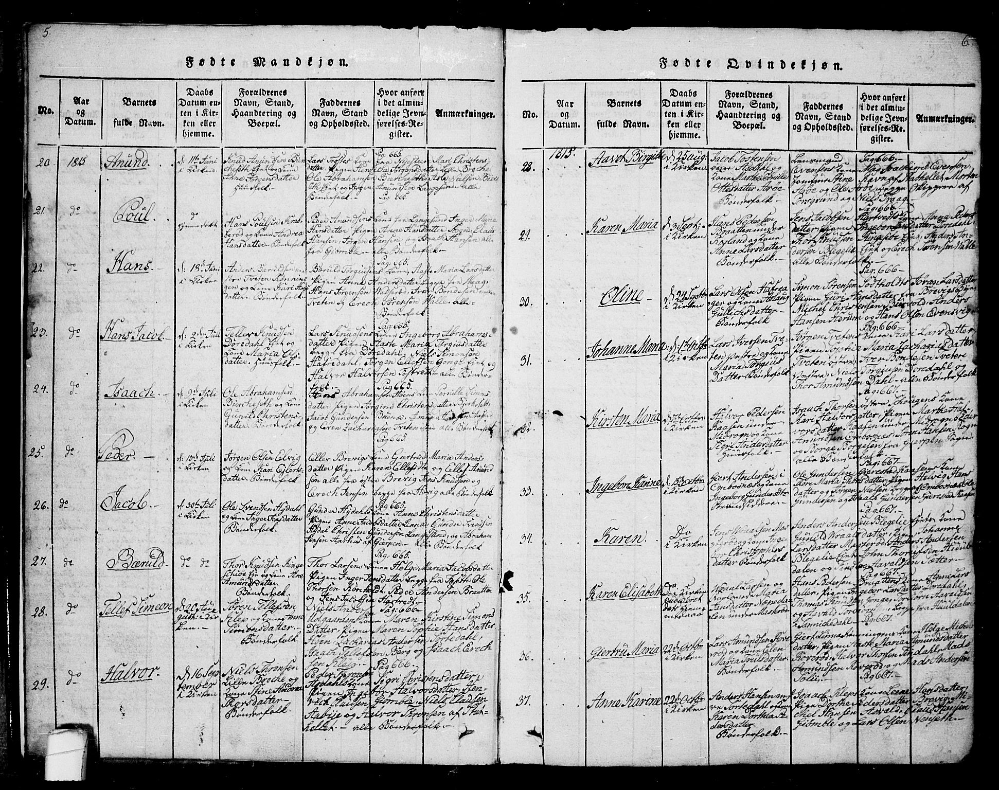 Bamble kirkebøker, SAKO/A-253/G/Ga/L0005: Parish register (copy) no. I 5, 1814-1855, p. 5-6