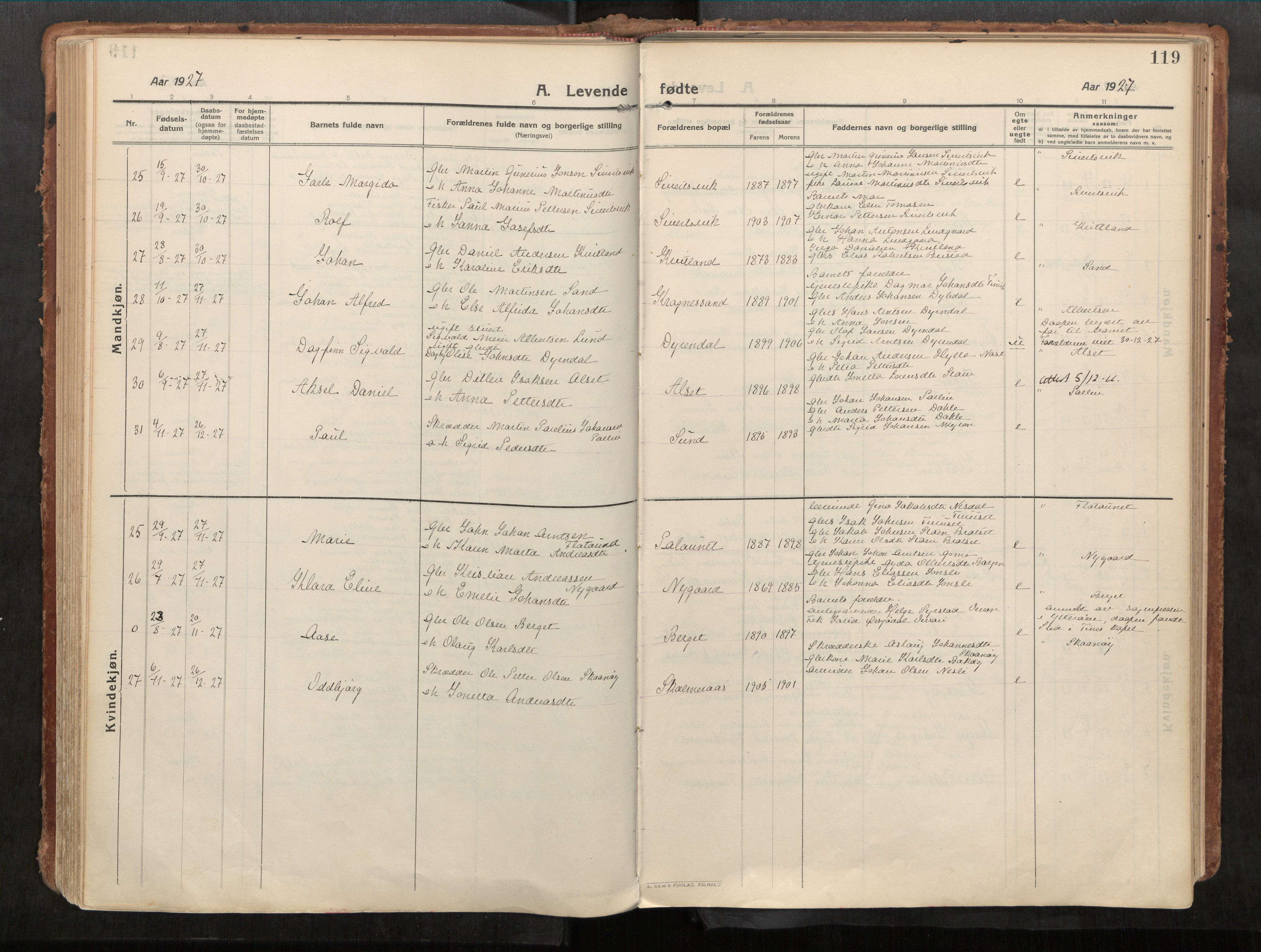 Stadsbygd sokneprestkontor, SAT/A-1117/1/I/I1/I1a/L0001: Parish register (official) no. 1, 1911-1929, p. 119