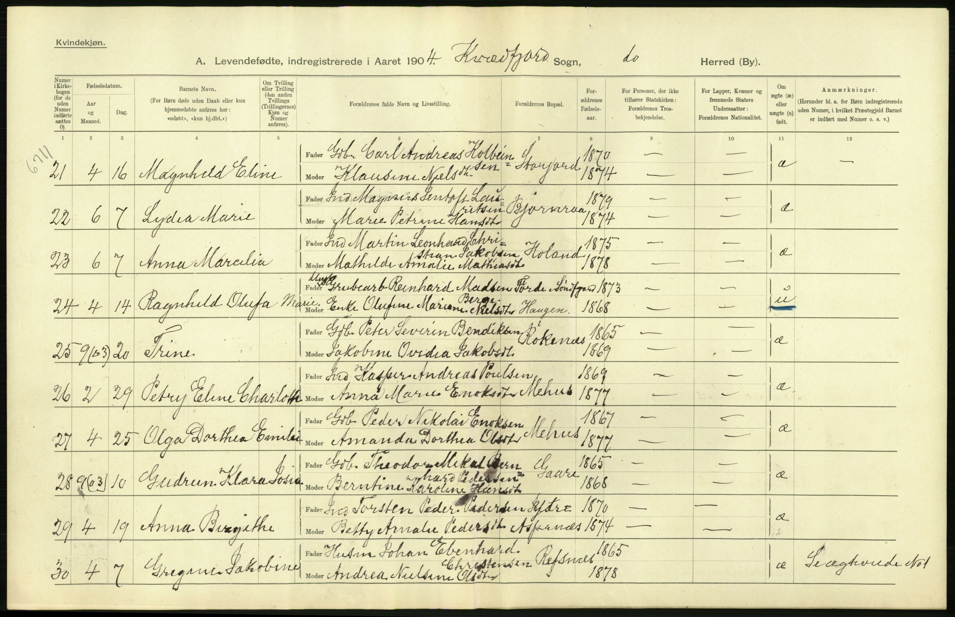 Statistisk sentralbyrå, Sosiodemografiske emner, Befolkning, AV/RA-S-2228/D/Df/Dfa/Dfab/L0022: Tromsø amt: Fødte, gifte, døde, 1904, p. 12