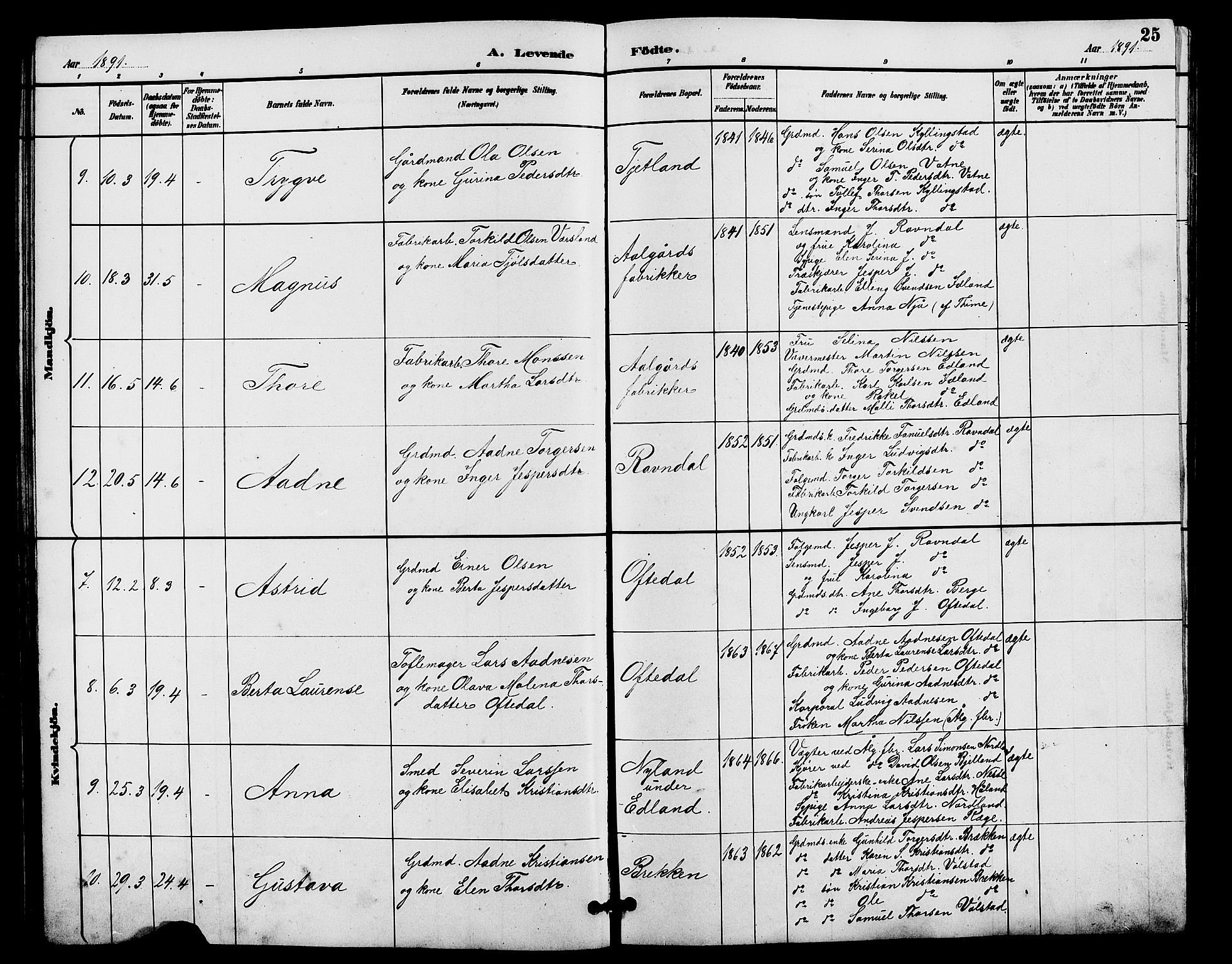 Lye sokneprestkontor, AV/SAST-A-101794/001/30BB/L0008: Parish register (copy) no. B 7, 1887-1901, p. 25