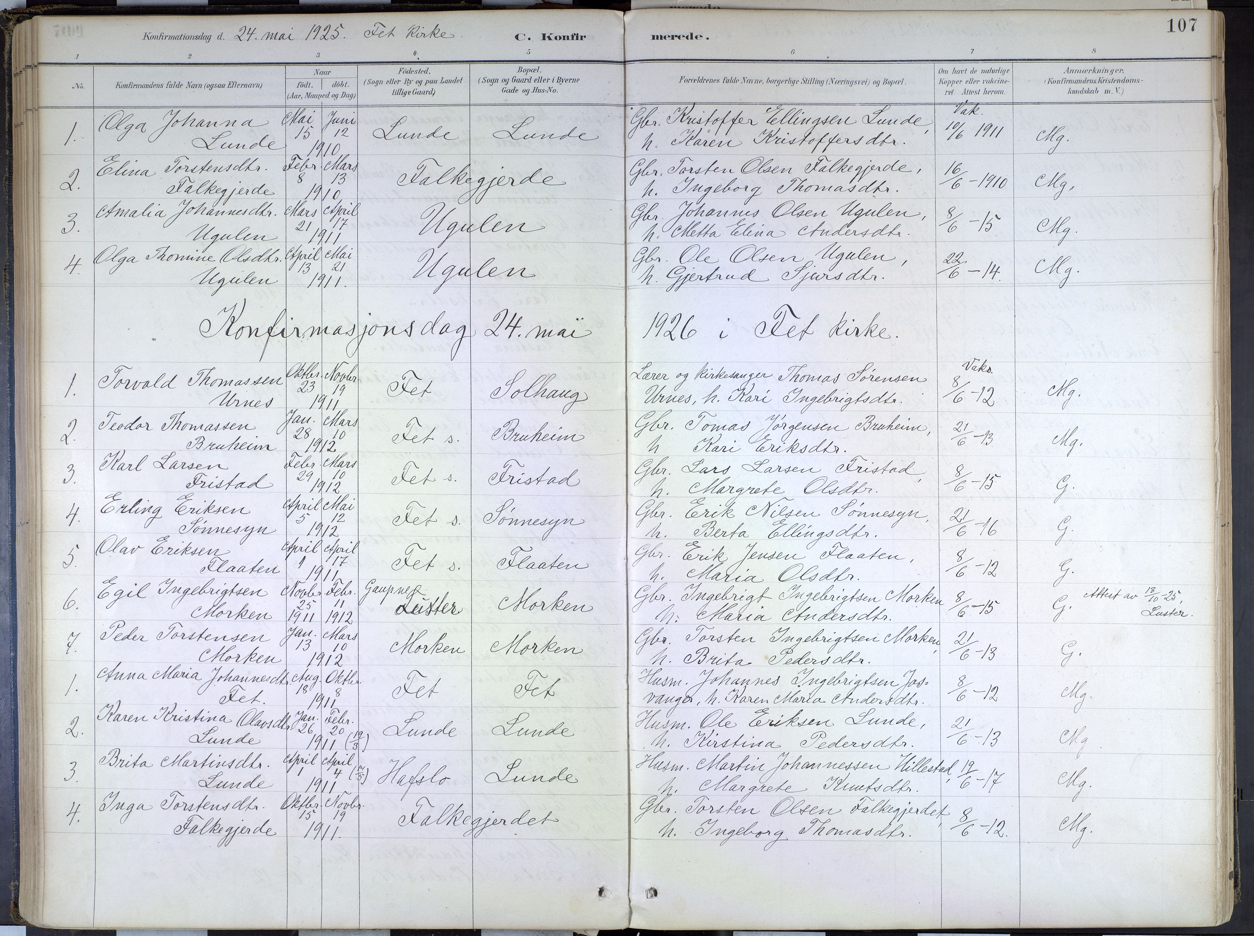 Hafslo sokneprestembete, SAB/A-80301/H/Haa/Haad/L0001: Parish register (official) no. D 1, 1886-1934, p. 107