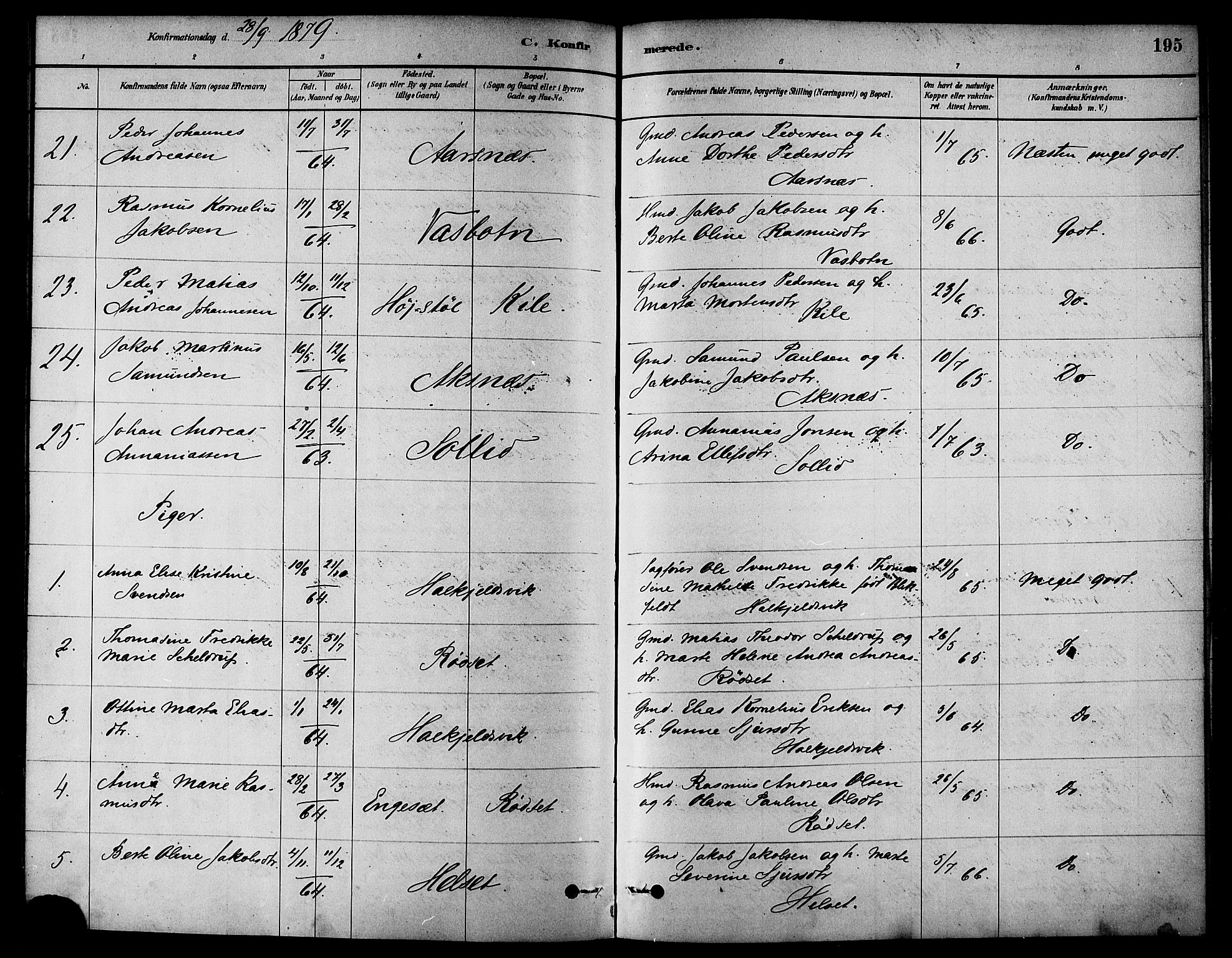 Ministerialprotokoller, klokkerbøker og fødselsregistre - Møre og Romsdal, AV/SAT-A-1454/511/L0141: Parish register (official) no. 511A08, 1878-1890, p. 195