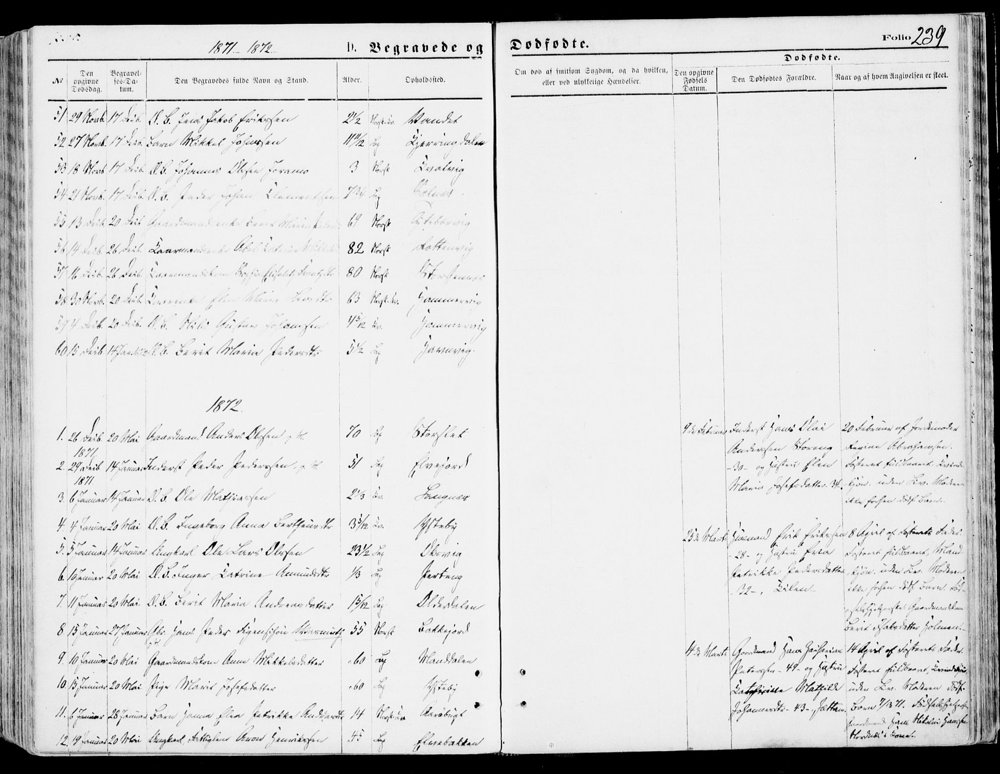 Lyngen sokneprestembete, AV/SATØ-S-1289/H/He/Hea/L0006kirke: Parish register (official) no. 6, 1870-1878, p. 239