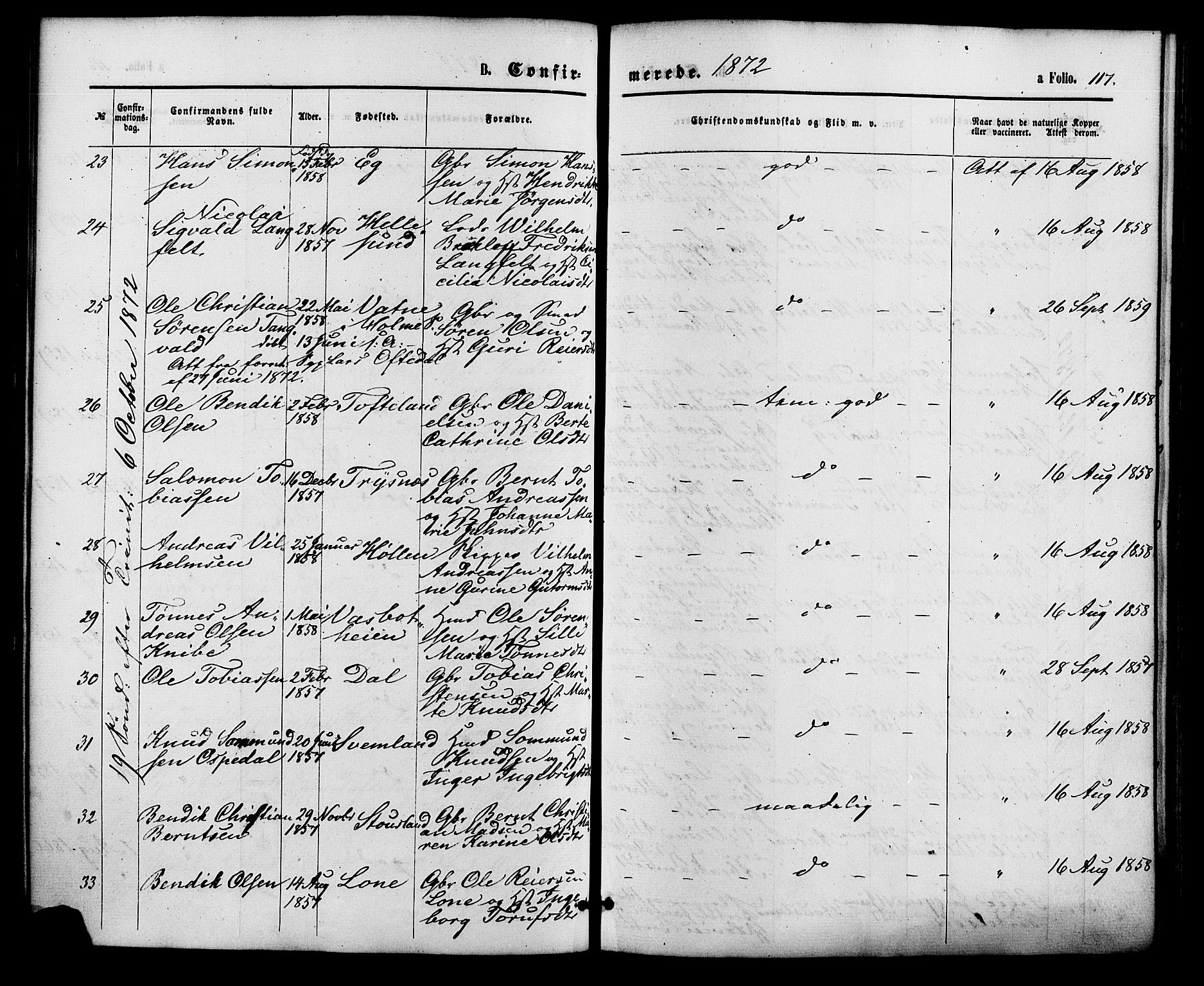 Søgne sokneprestkontor, AV/SAK-1111-0037/F/Fa/Fab/L0011: Parish register (official) no. A 11, 1869-1879, p. 117