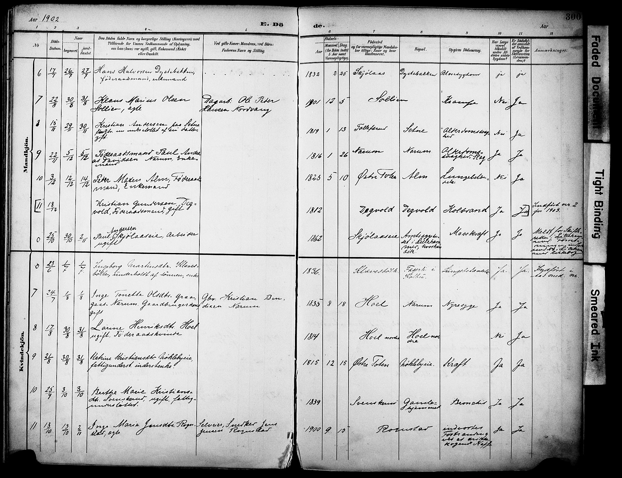 Vestre Toten prestekontor, SAH/PREST-108/H/Ha/Haa/L0013: Parish register (official) no. 13, 1895-1911, p. 300