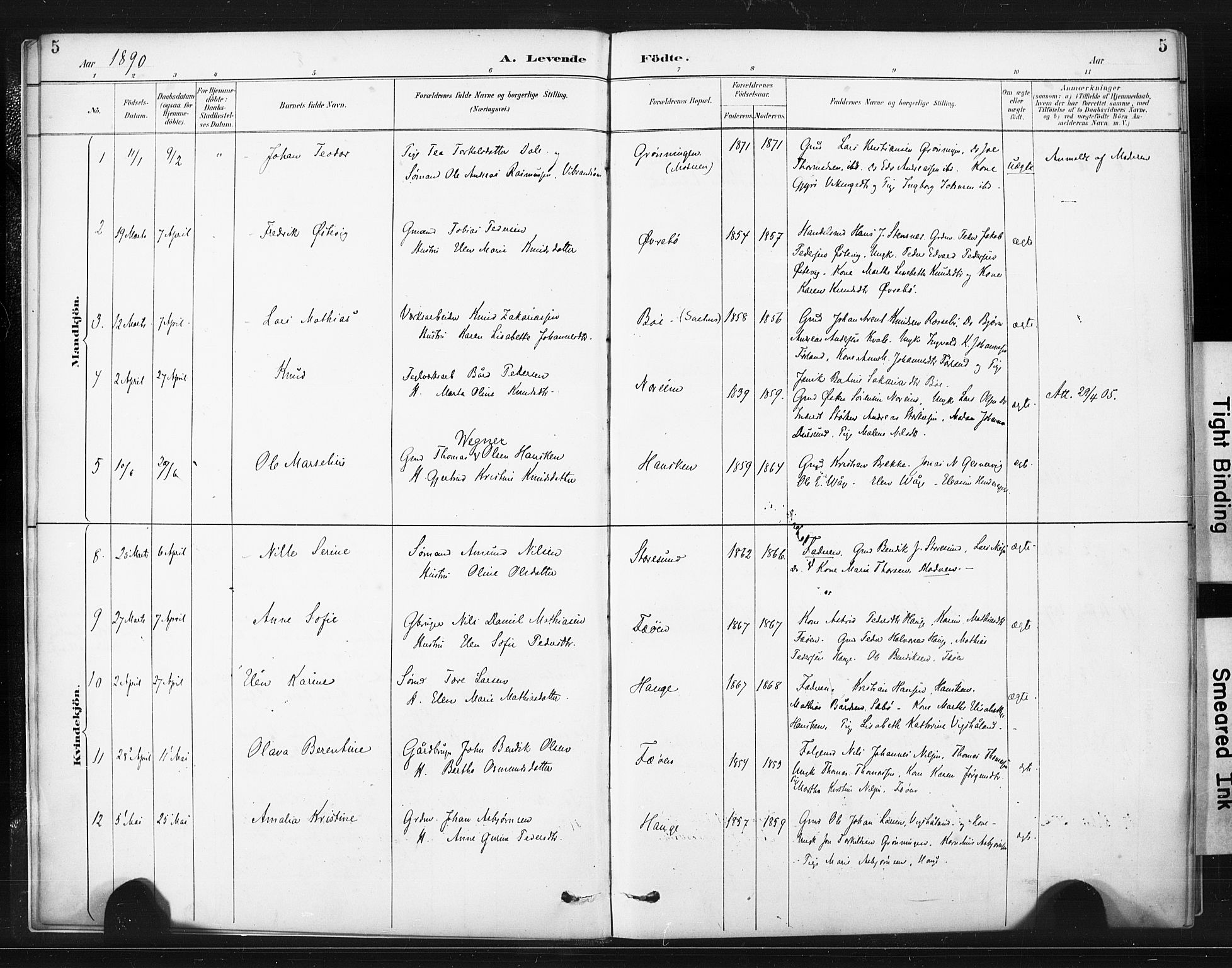 Torvastad sokneprestkontor, AV/SAST-A -101857/H/Ha/Haa/L0015: Parish register (official) no. A 14, 1888-1899, p. 5