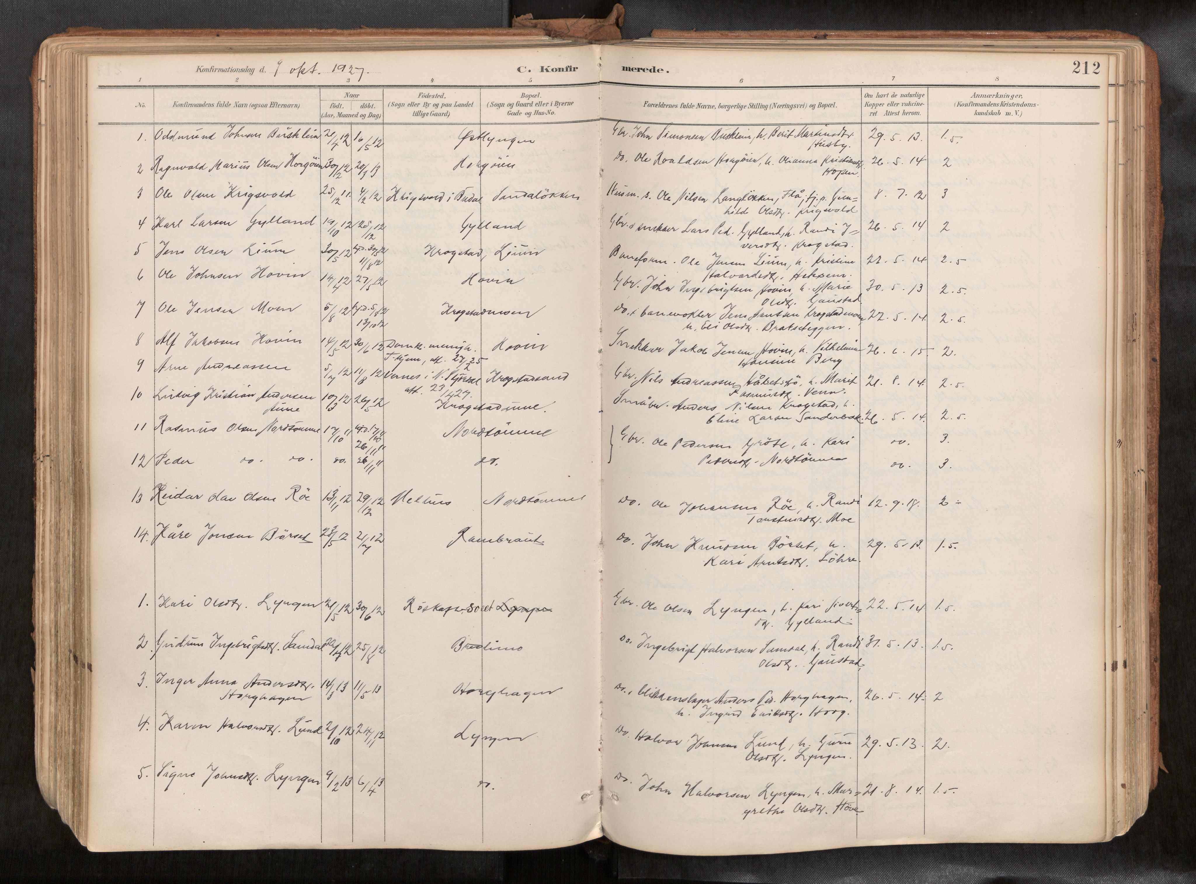 Ministerialprotokoller, klokkerbøker og fødselsregistre - Sør-Trøndelag, SAT/A-1456/692/L1105b: Parish register (official) no. 692A06, 1891-1934, p. 212
