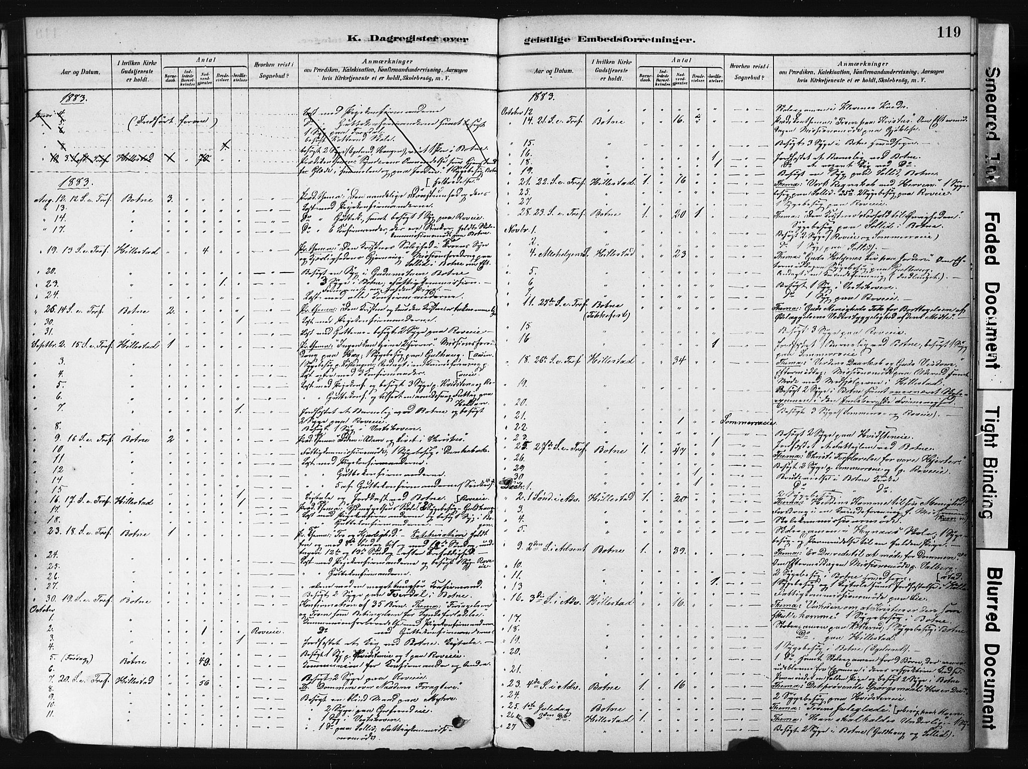 Botne kirkebøker, AV/SAKO-A-340/F/Fb/L0001: Parish register (official) no. II 1, 1878-1902, p. 119