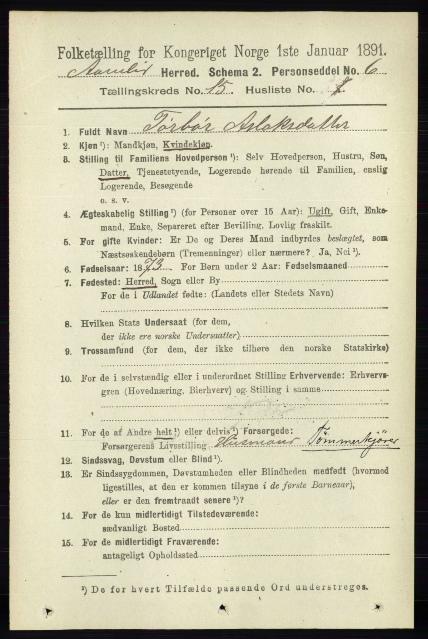 RA, 1891 census for 0929 Åmli, 1891, p. 2548