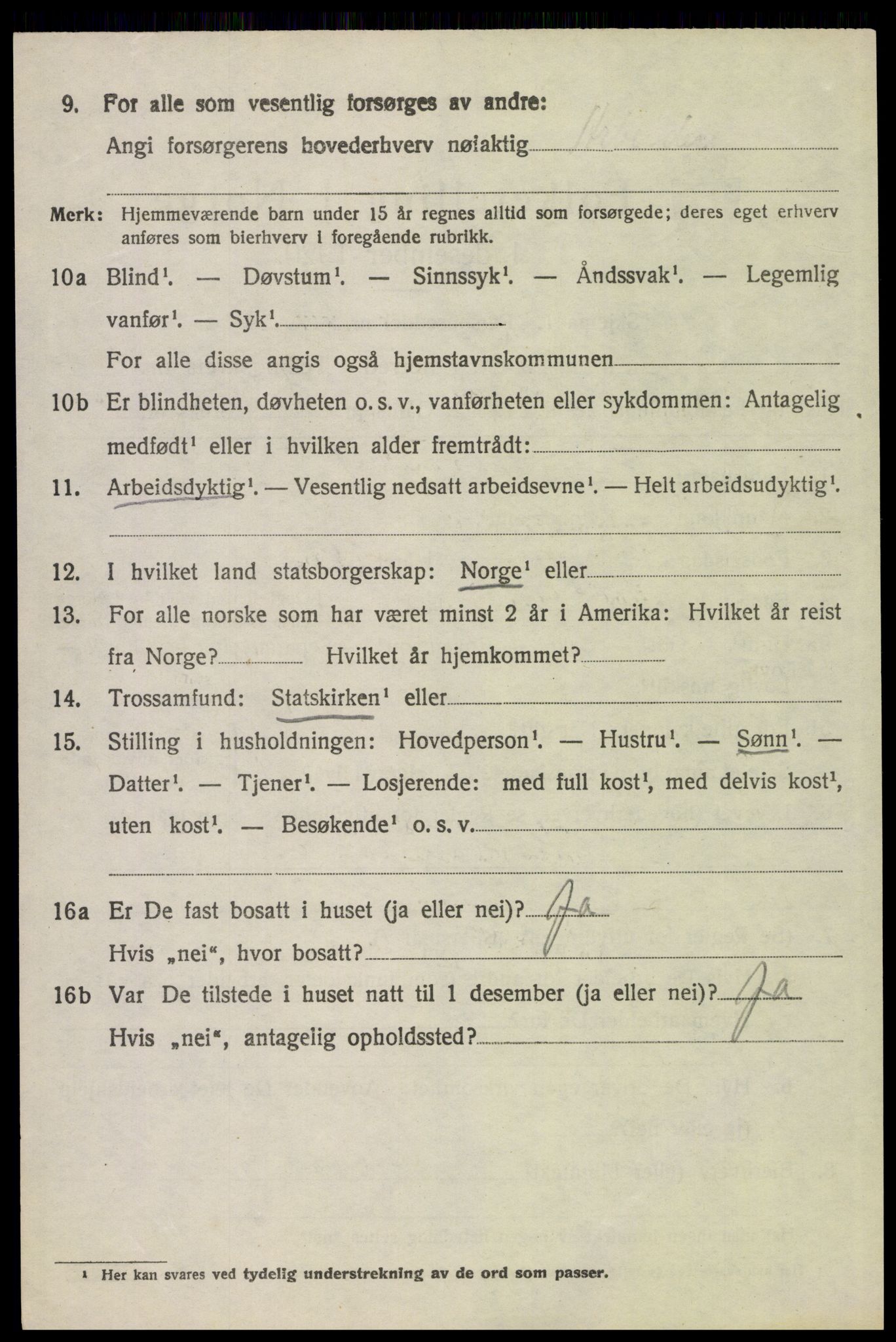 SAH, 1920 census for Hof, 1920, p. 2504