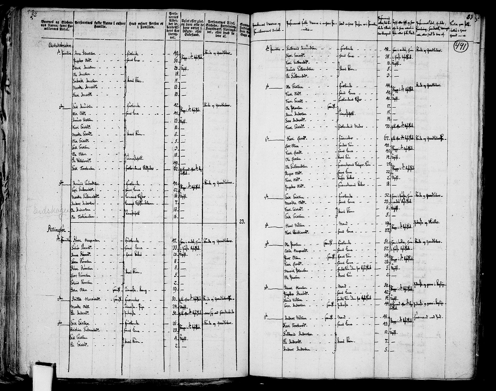 RA, 1801 census for 0421P Vinger, 1801, p. 490b-491a