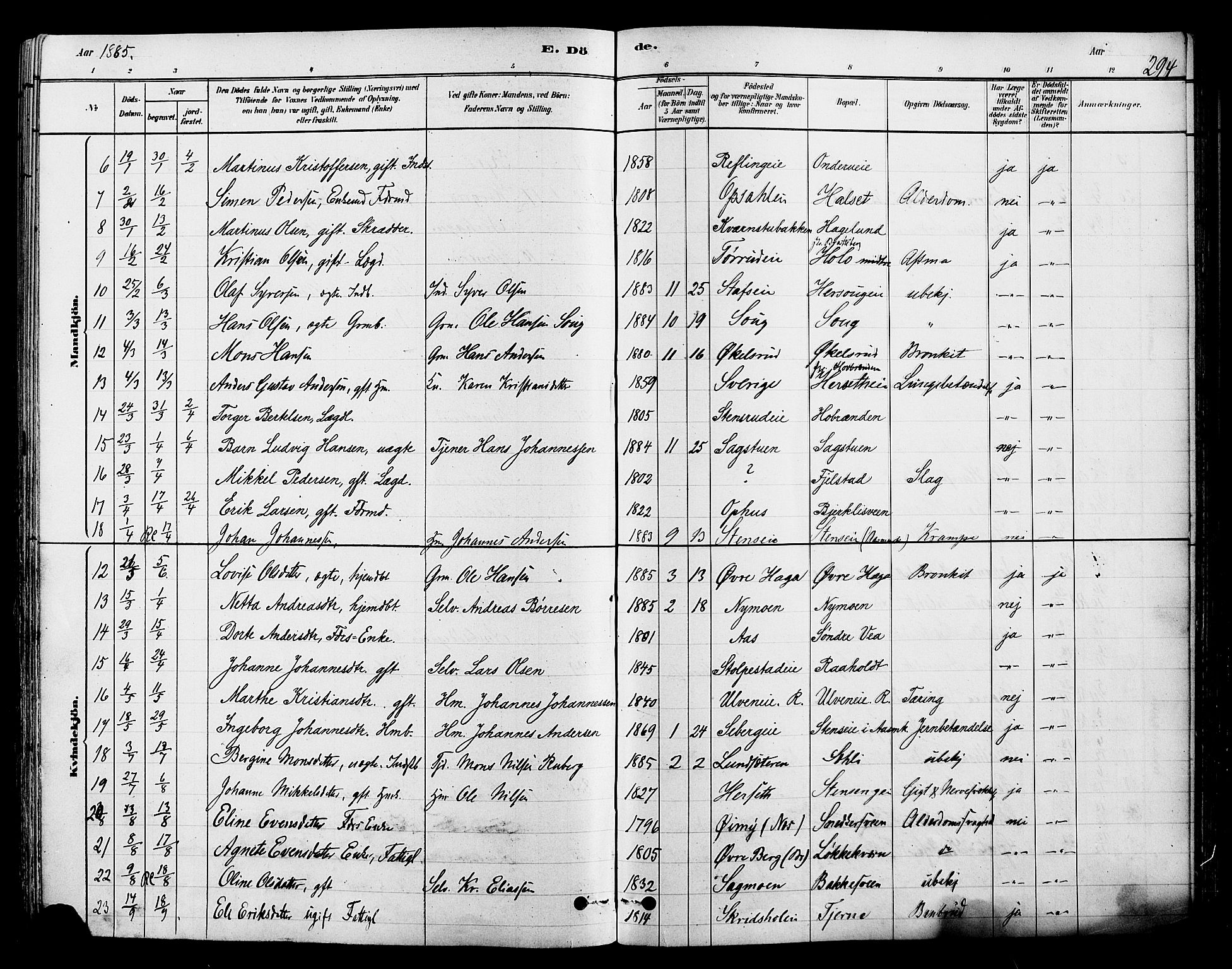 Ringsaker prestekontor, SAH/PREST-014/L/La/L0009: Parish register (copy) no. 9, 1879-1890, p. 294