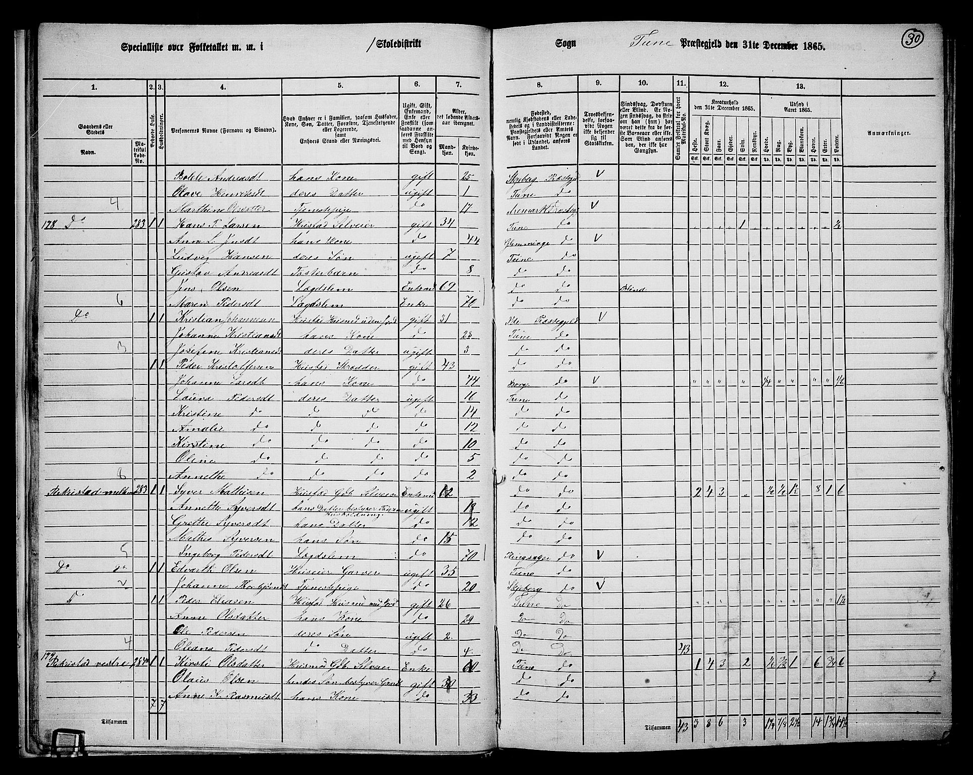 RA, 1865 census for Tune, 1865, p. 27