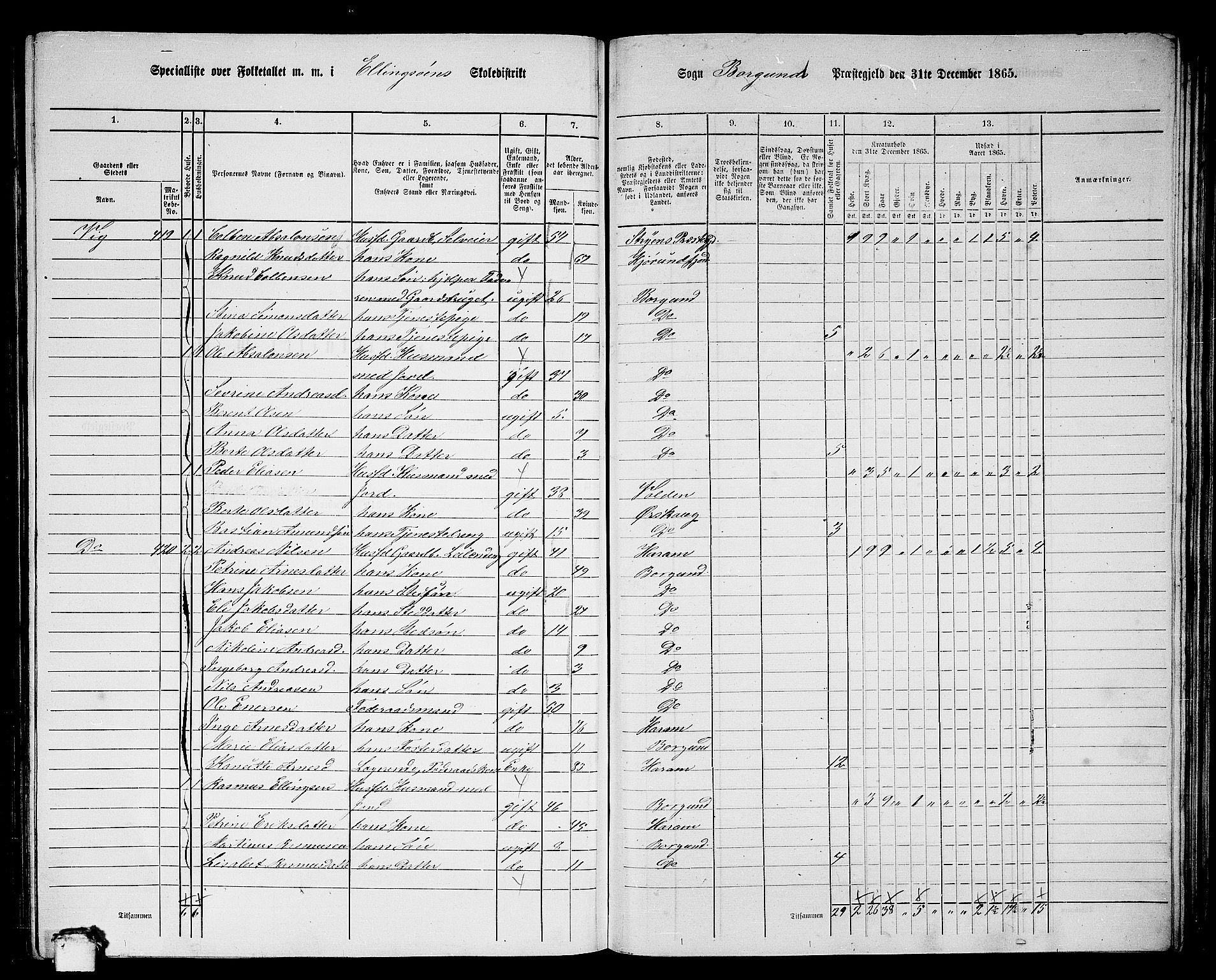 RA, 1865 census for Borgund, 1865, p. 209