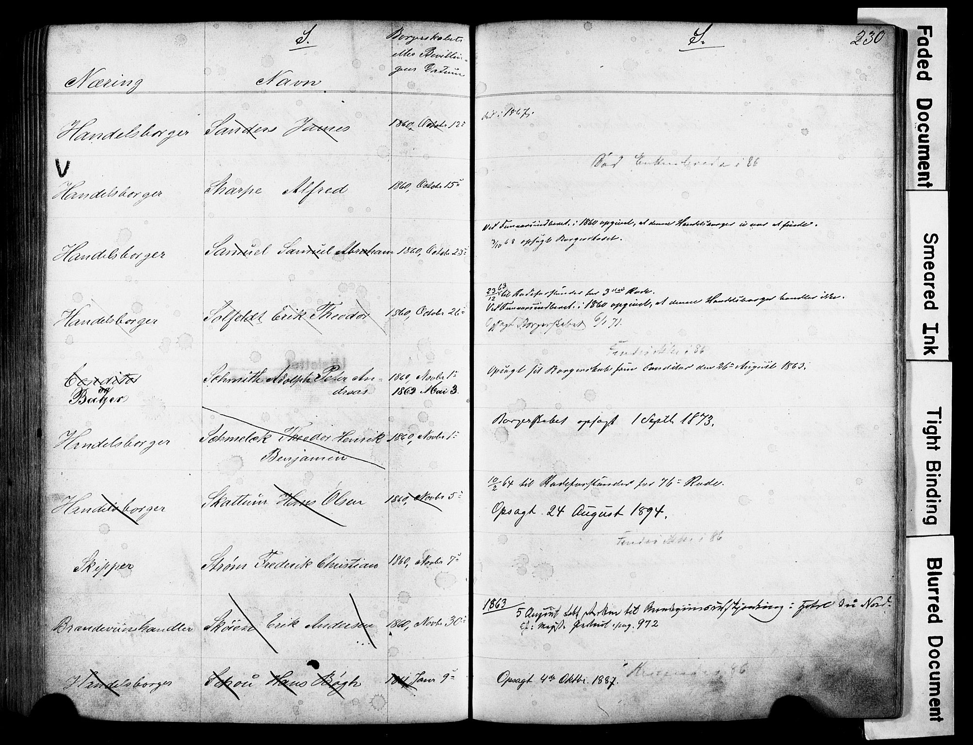 Kristiania magistrat, SAO/A-10711/F/Fb/L0004: Borgerrulle, 1860-1879, p. 232