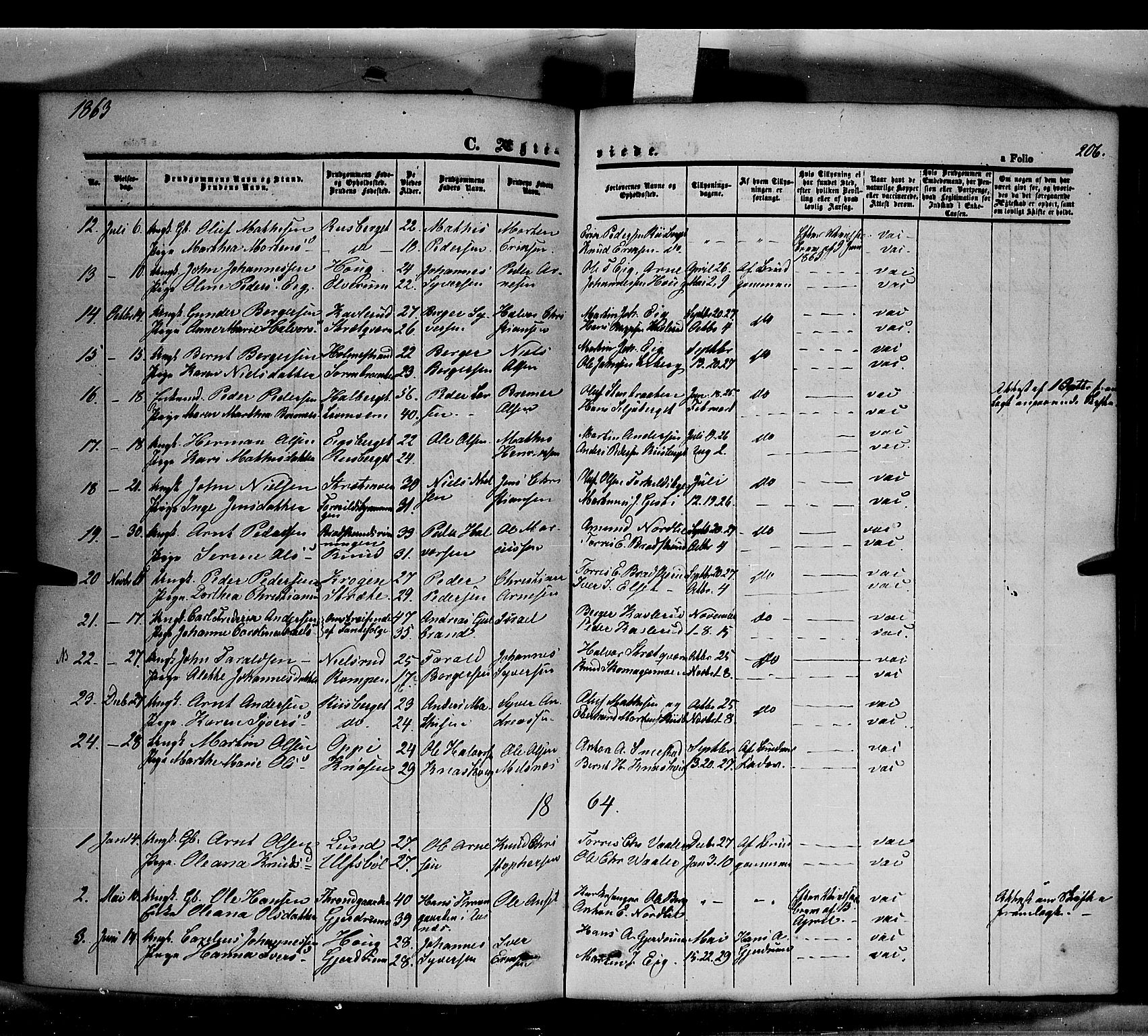 Våler prestekontor, Hedmark, AV/SAH-PREST-040/H/Ha/Haa/L0001: Parish register (official) no. 1, 1849-1878, p. 206