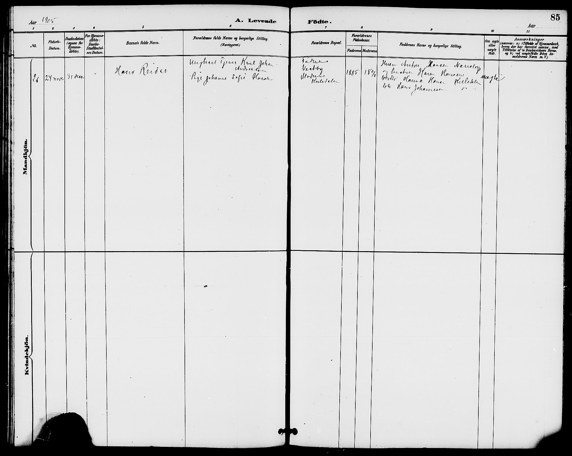 Rakkestad prestekontor Kirkebøker, AV/SAO-A-2008/G/Gb/L0001: Parish register (copy) no. II 1, 1887-1909, p. 85