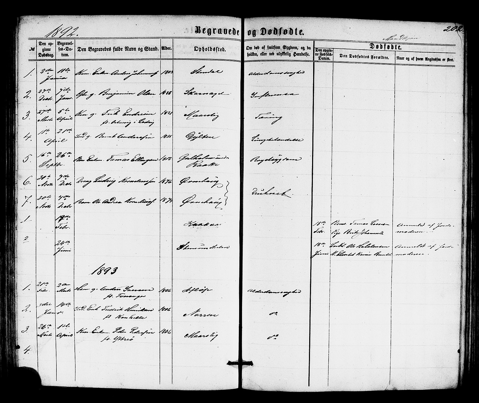 Solund sokneprestembete, SAB/A-81401: Parish register (copy) no. A 1, 1860-1893, p. 202