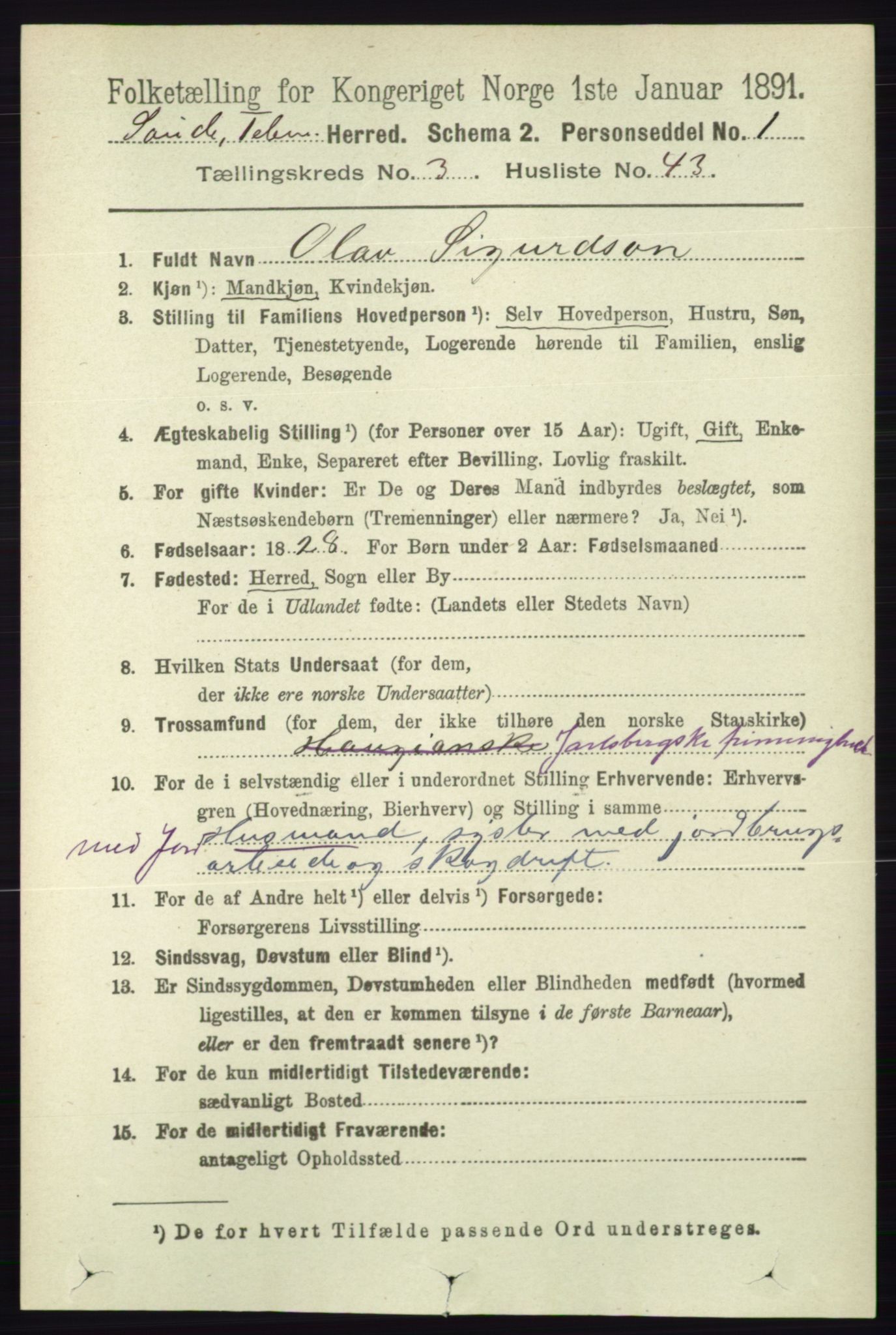 RA, 1891 census for 0822 Sauherad, 1891, p. 952