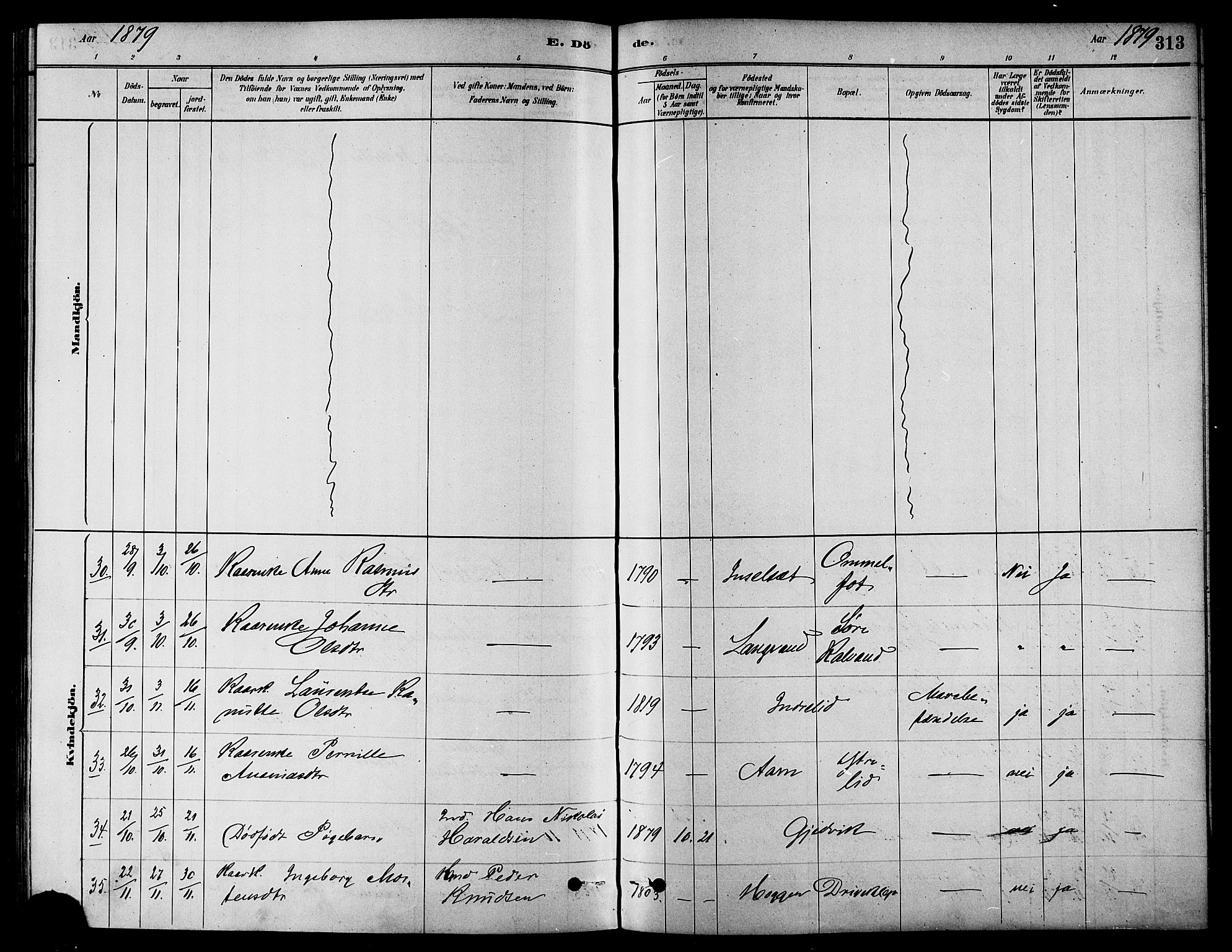 Ministerialprotokoller, klokkerbøker og fødselsregistre - Møre og Romsdal, AV/SAT-A-1454/511/L0141: Parish register (official) no. 511A08, 1878-1890, p. 313