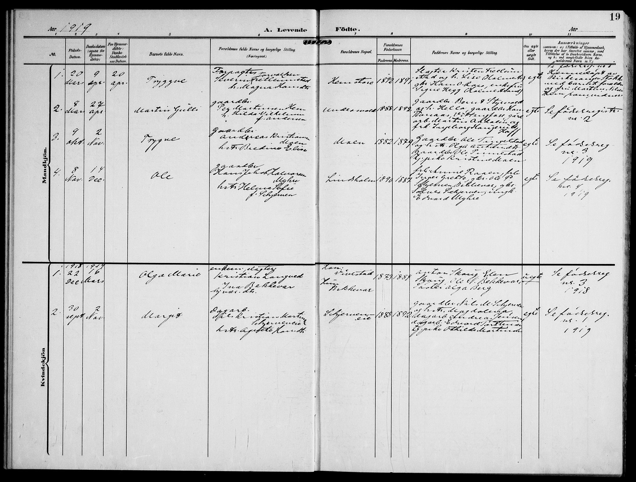 Lardal kirkebøker, SAKO/A-350/F/Fc/L0002: Parish register (official) no. III 2, 1907-1921, p. 19