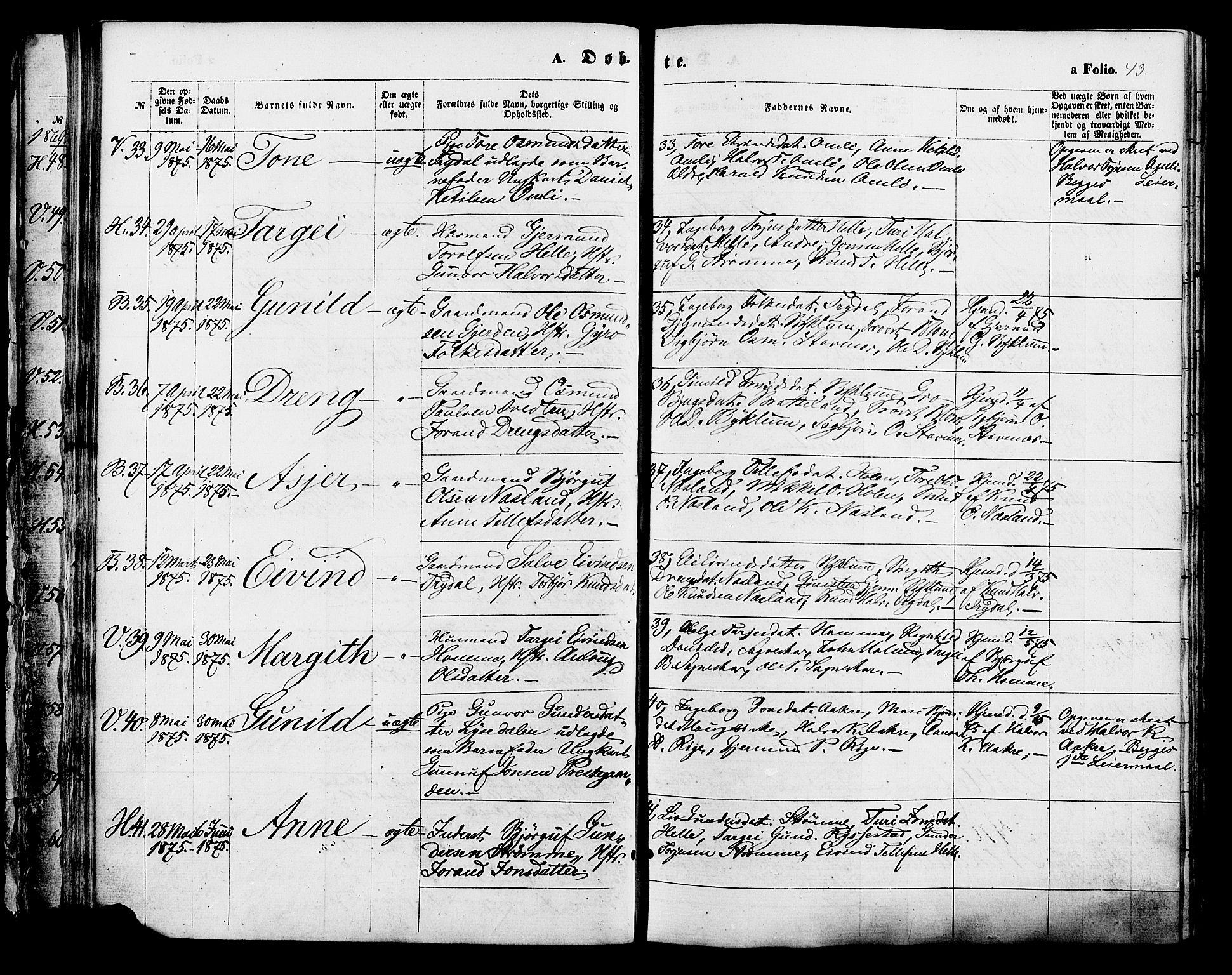 Valle sokneprestkontor, AV/SAK-1111-0044/F/Fa/Fac/L0008: Parish register (official) no. A 8, 1868-1882, p. 43