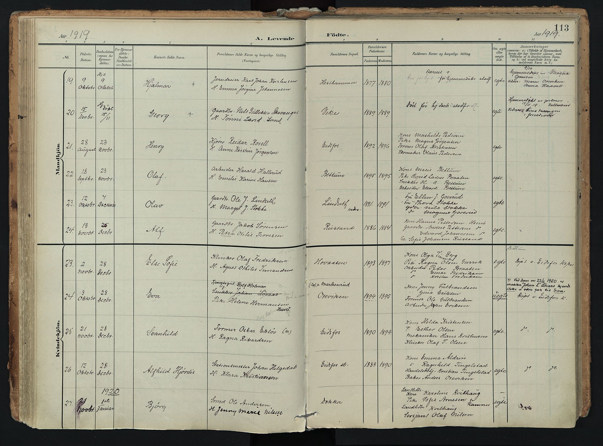 Hof kirkebøker, AV/SAKO-A-64/F/Fa/L0008: Parish register (official) no. I 8, 1902-1921, p. 113