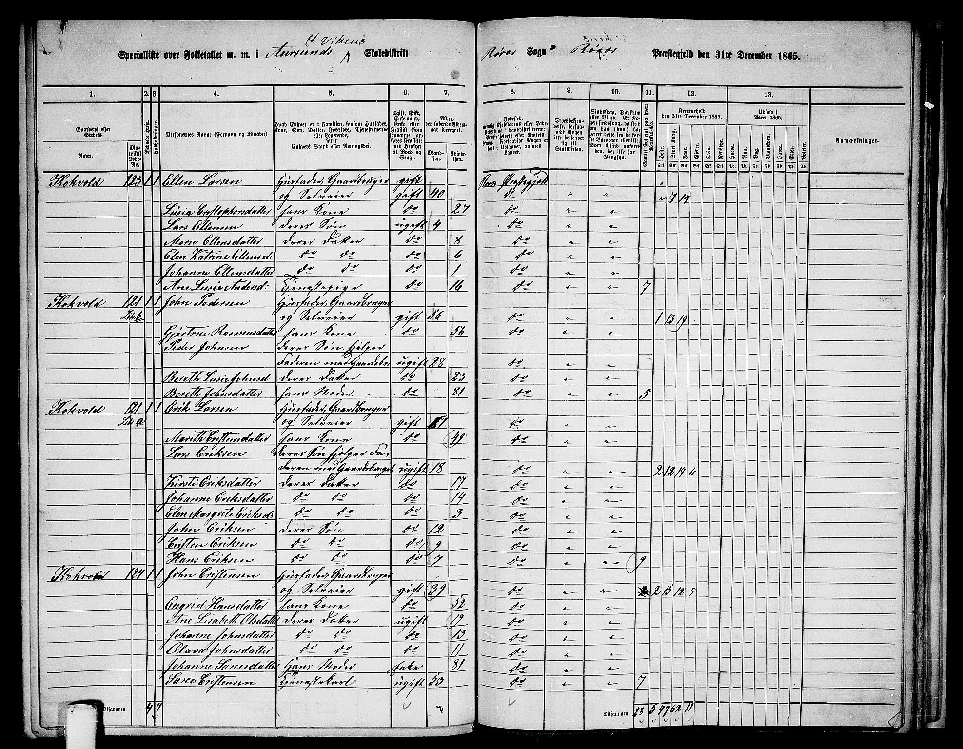 RA, 1865 census for Røros, 1865, p. 122